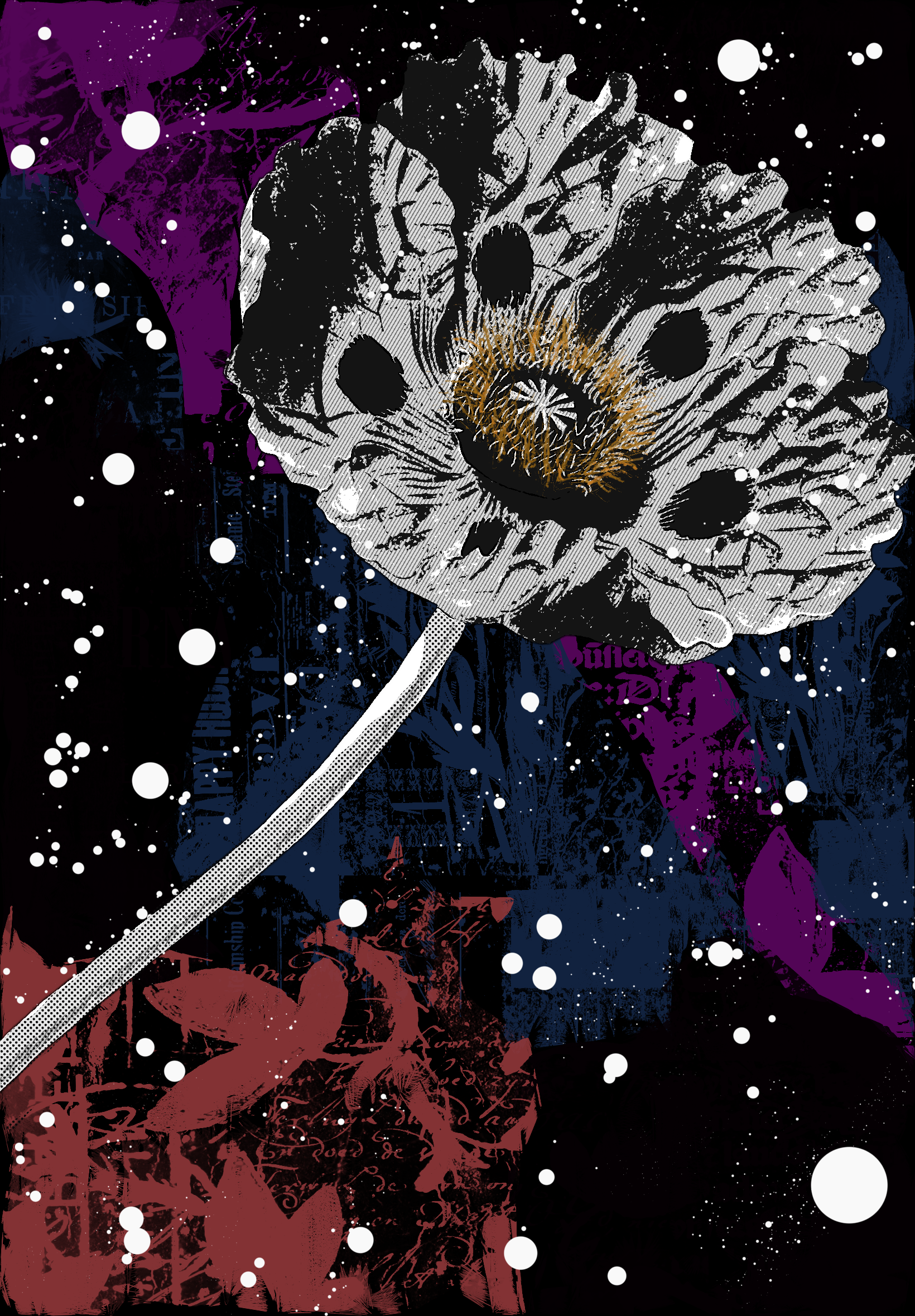 IMG_1111.PNG