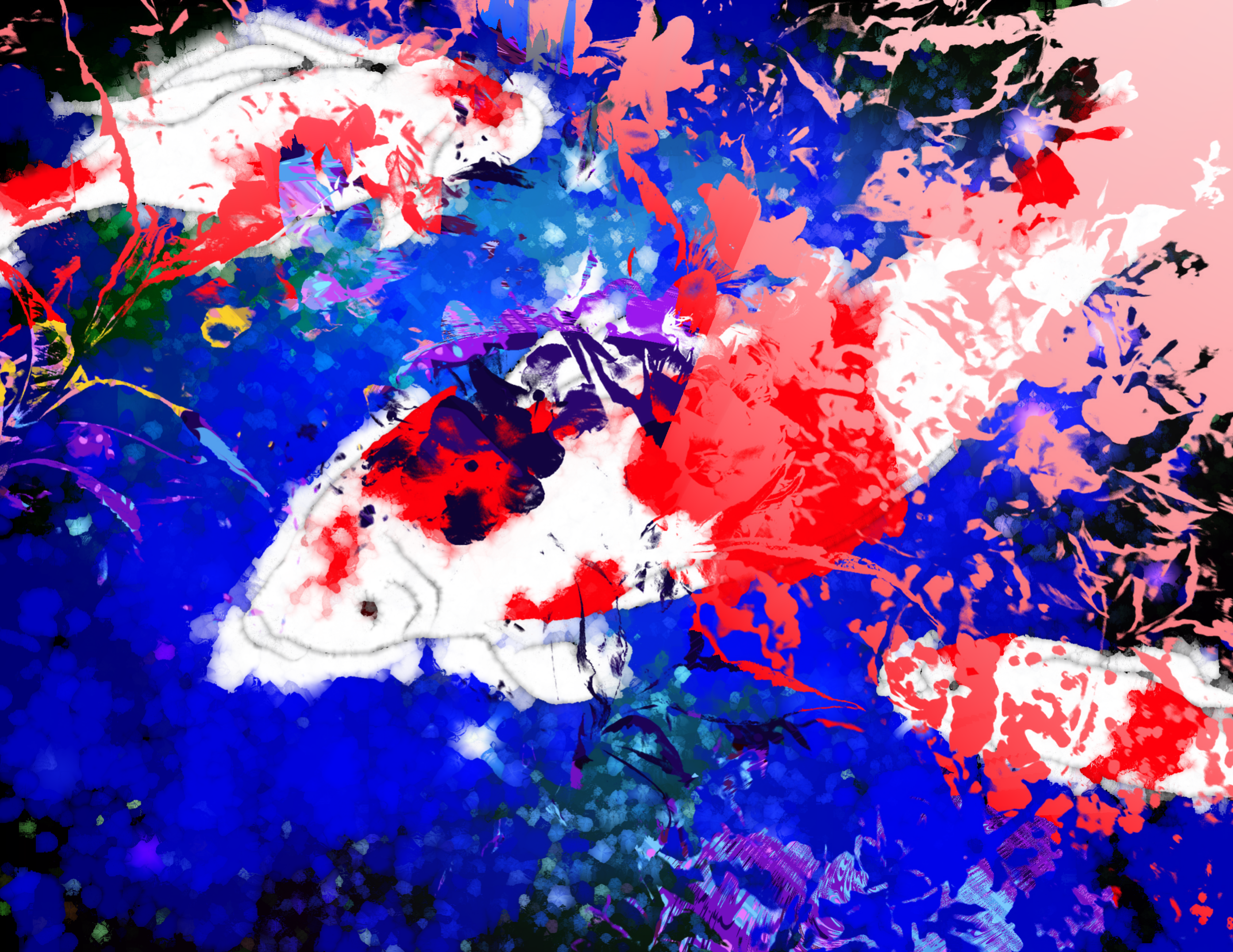image3A4639_mirror3.png