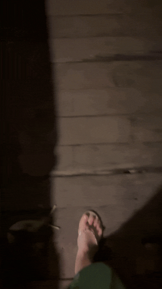 IMG_5035-ezgif.com-optimize (1).gif