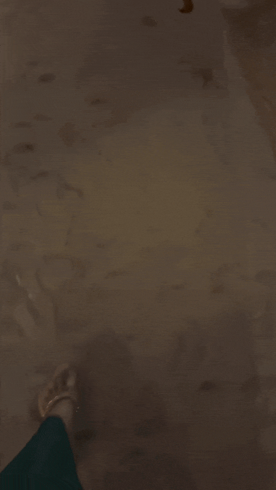 IMG_5034-ezgif.com-optimize (1).gif