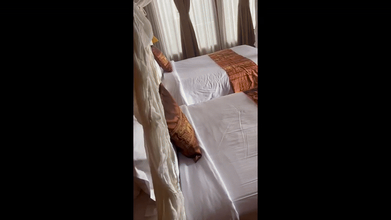 B2889723-C23F-42C0-850D-1C3E32021B2F-ezgif.com-video-to-gif-converter.gif