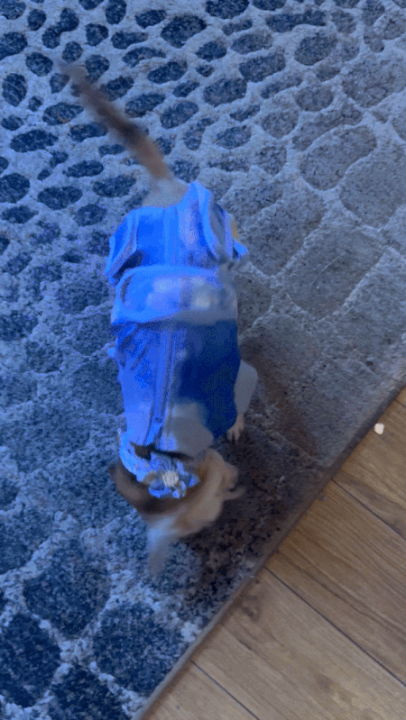 IMG_3336-ezgif.com-optimize+(1).gif