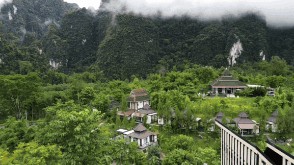 temp_video_for_share-ezgif.com-optimize+(2).gif