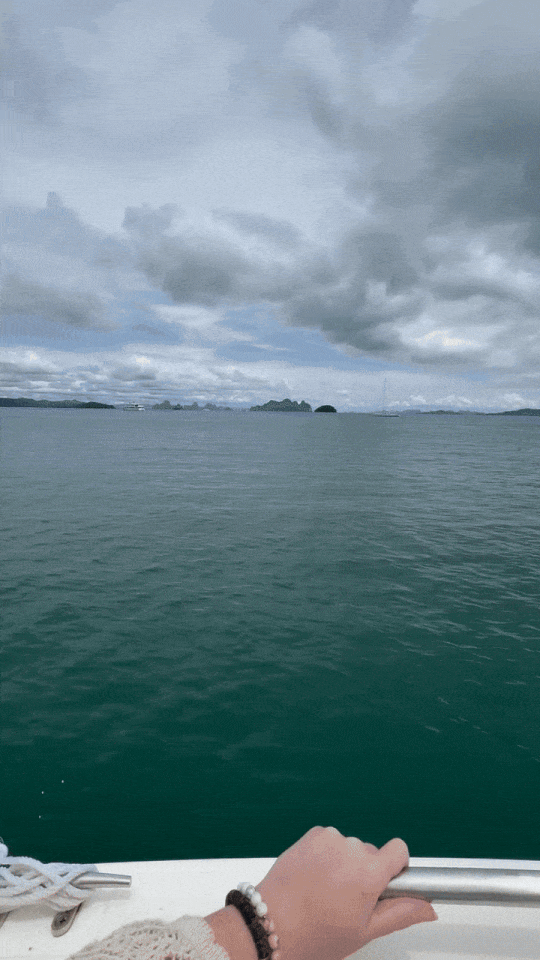 IMG_4985-ezgif.com-optimize (1).gif