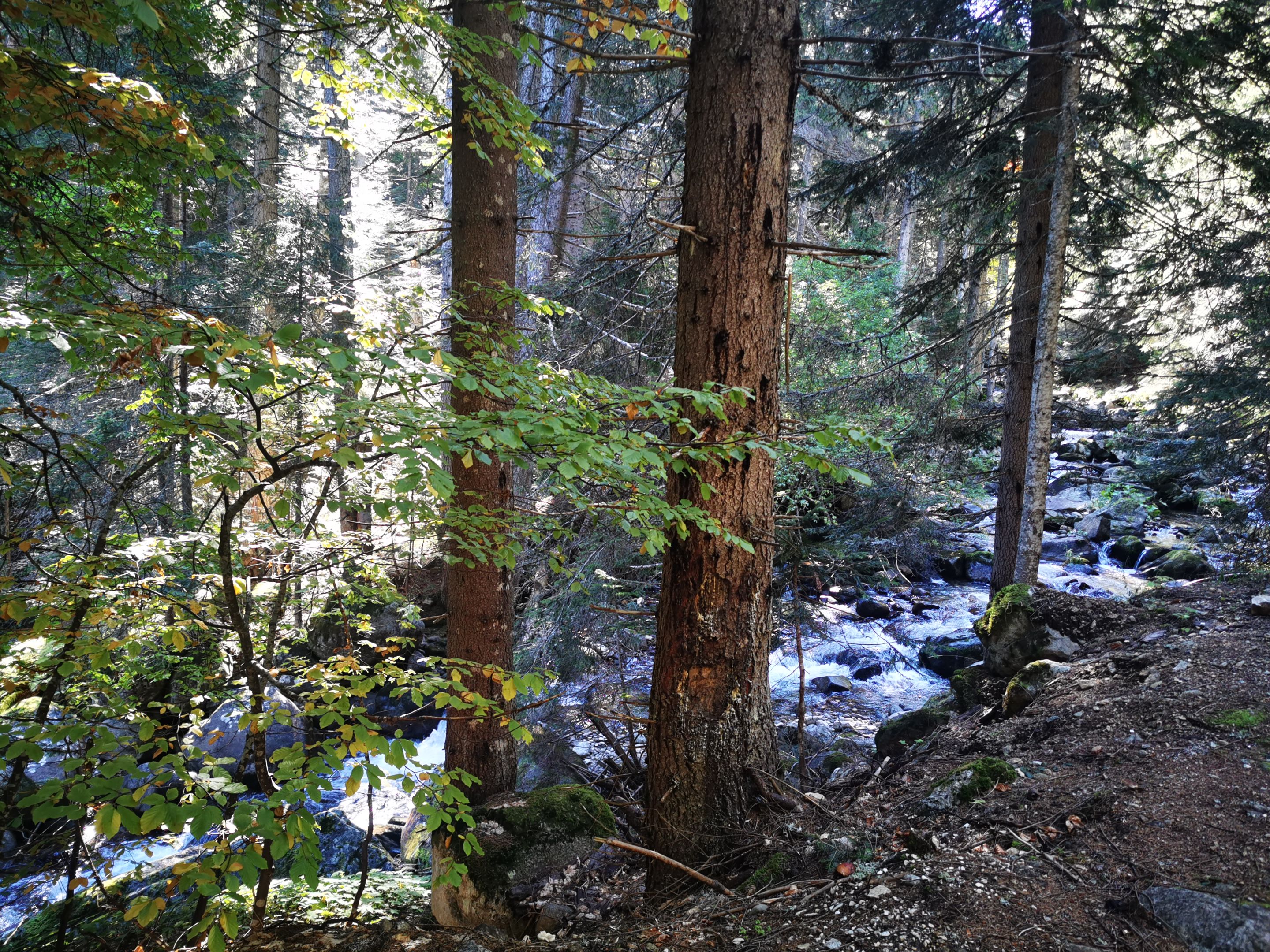 IMG_20221008_112628.jpg