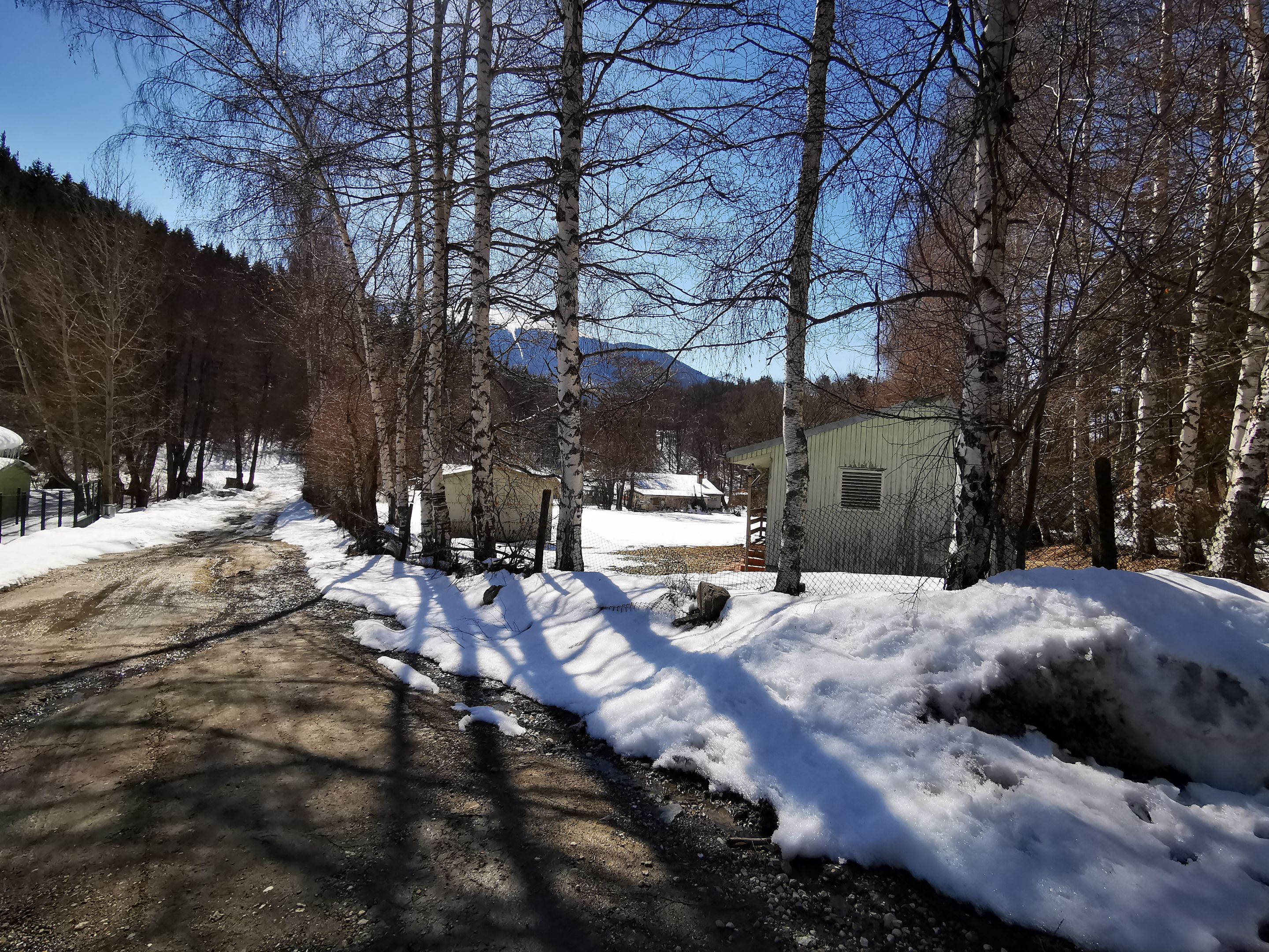 IMG_20220320_135414.jpg