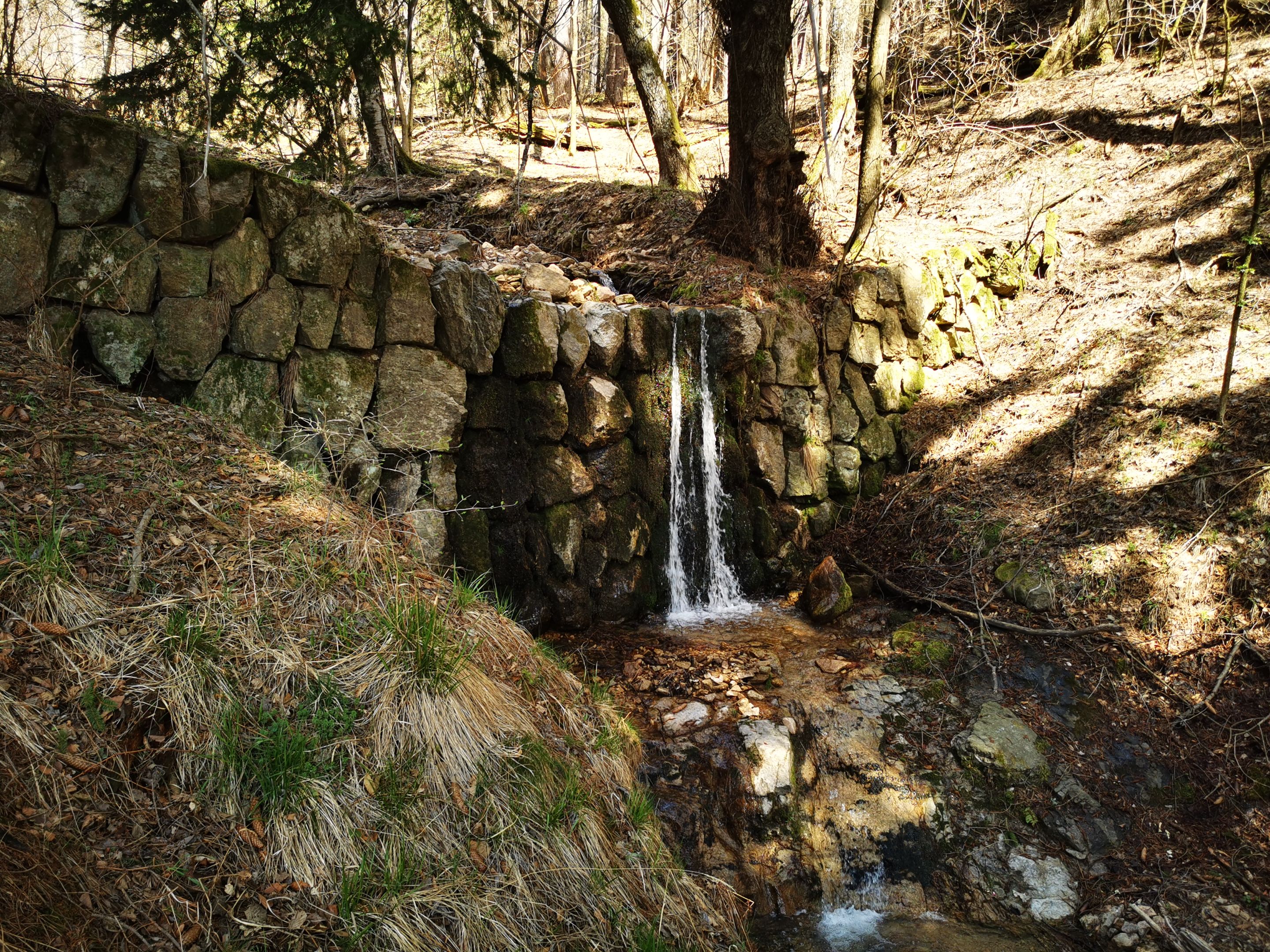 IMG_20220415_132426.jpg