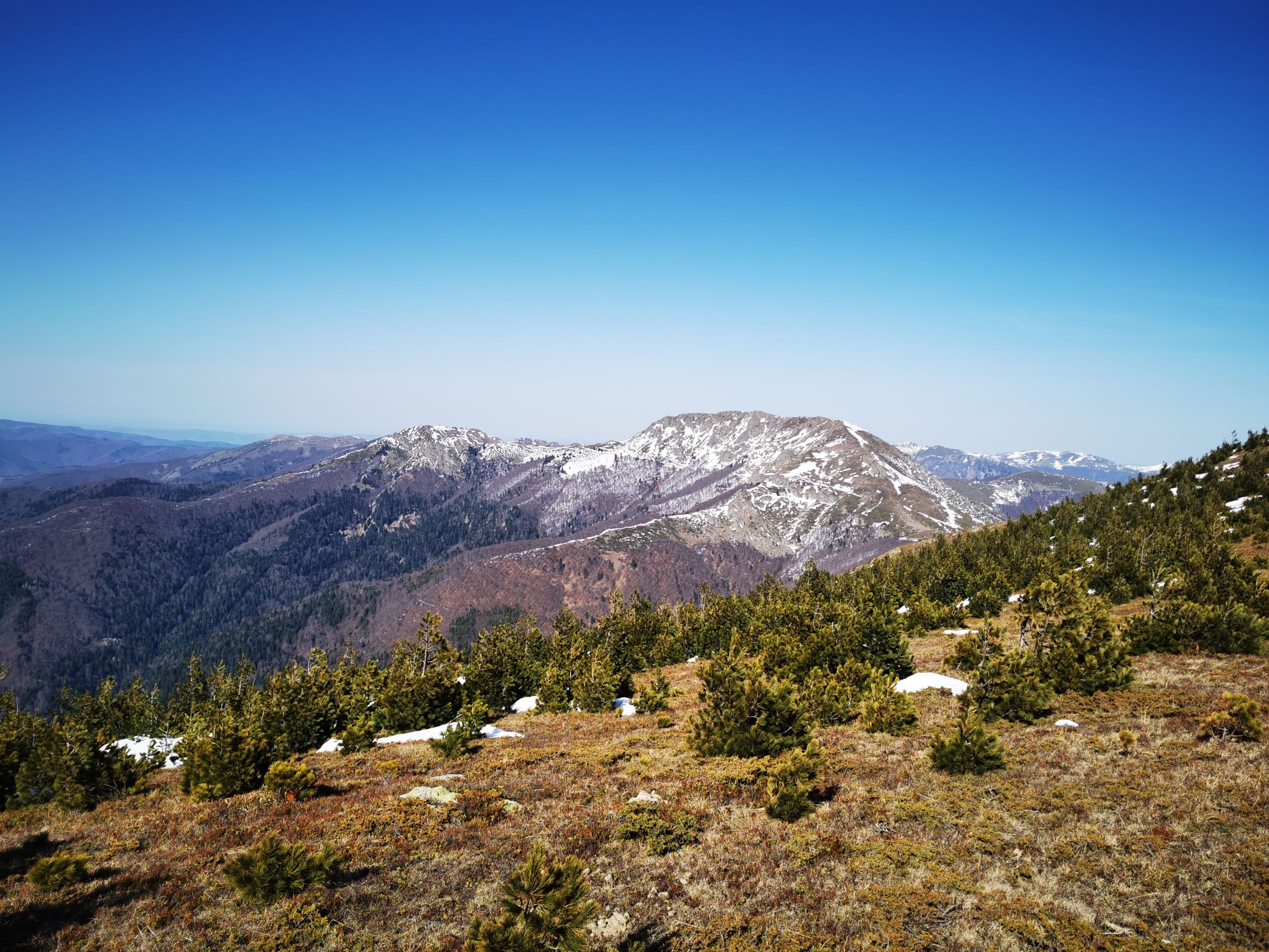 IMG_20220415_164454.jpg