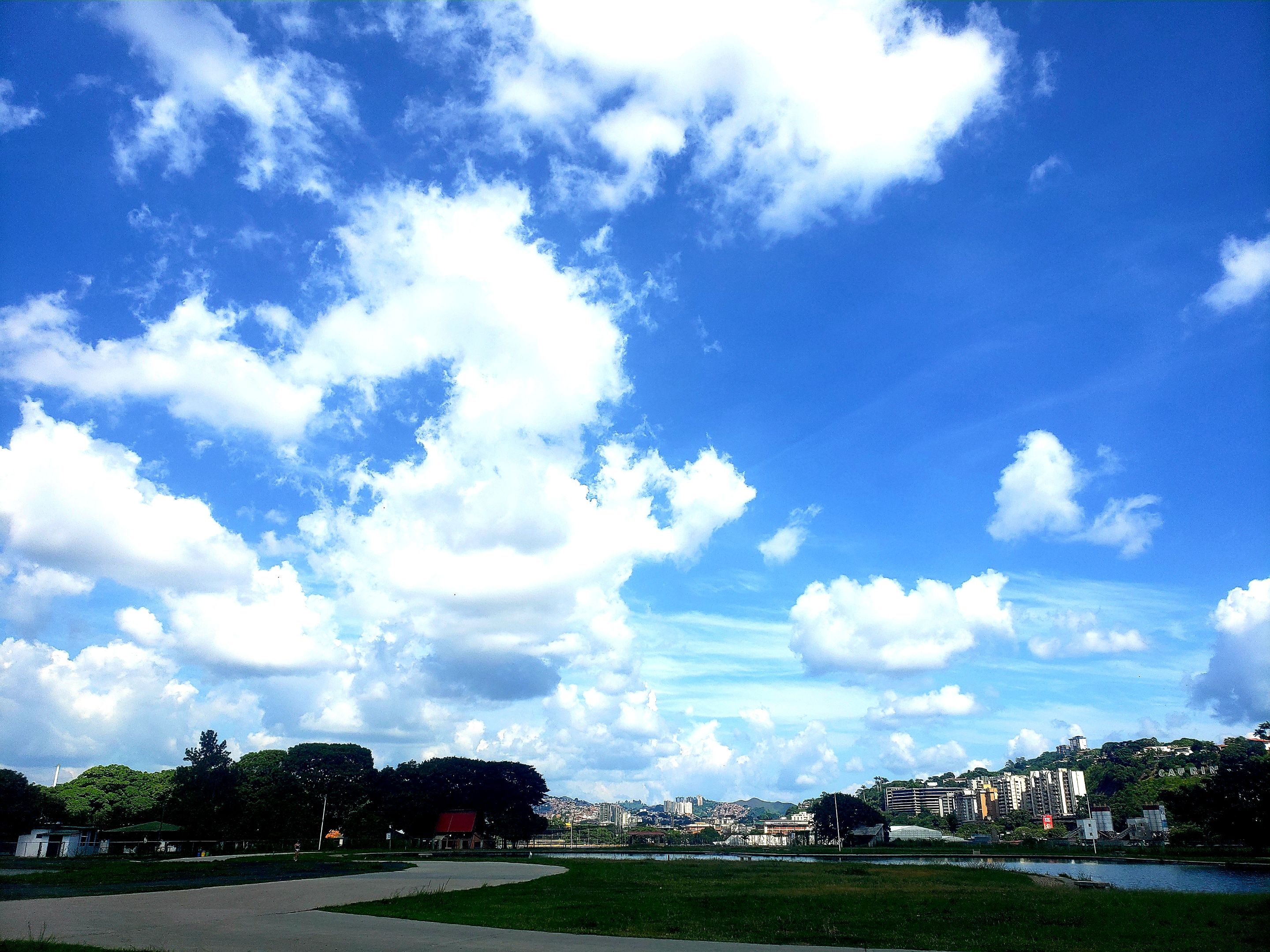 20250809_091156.jpg