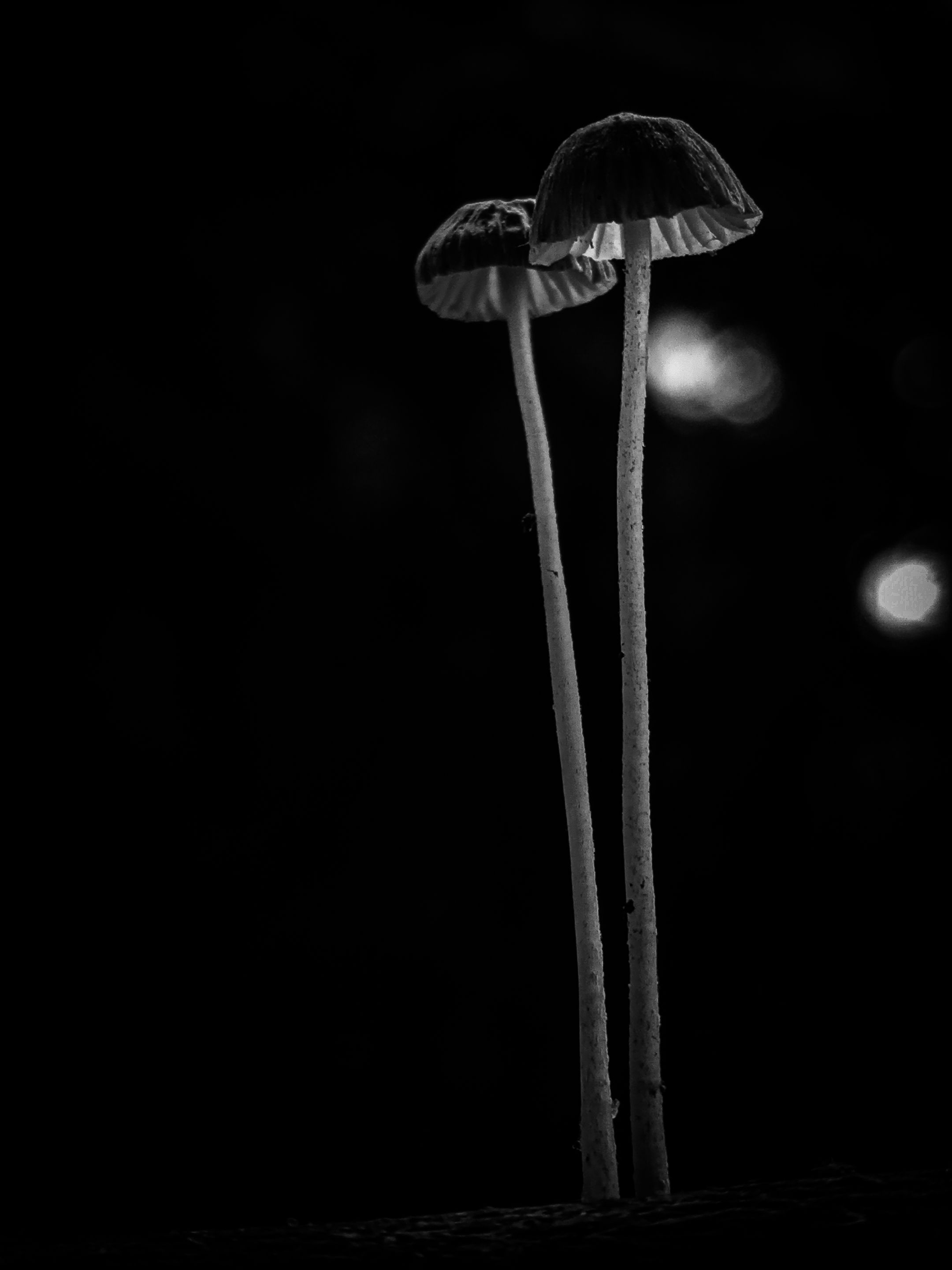 IMG20221014115549_00 (1).jpg