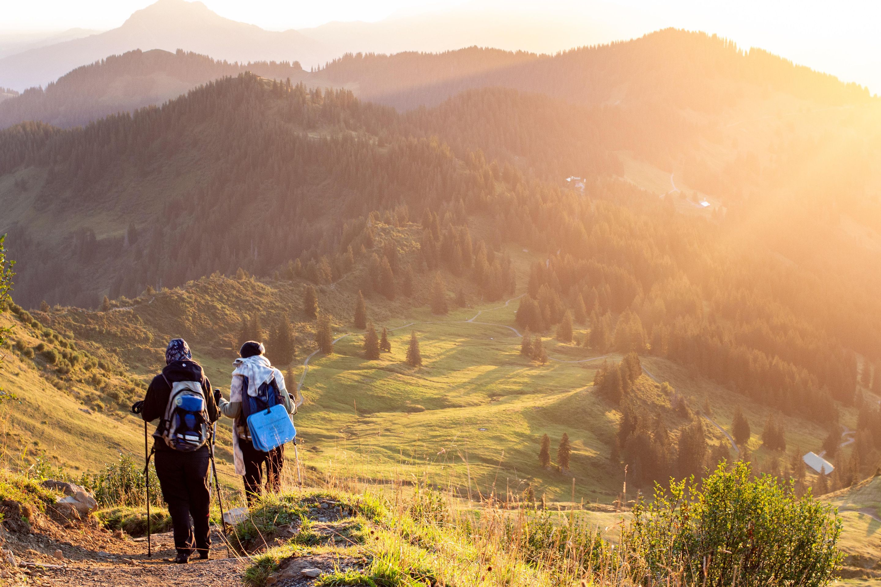 mountaineers-5649828.jpg