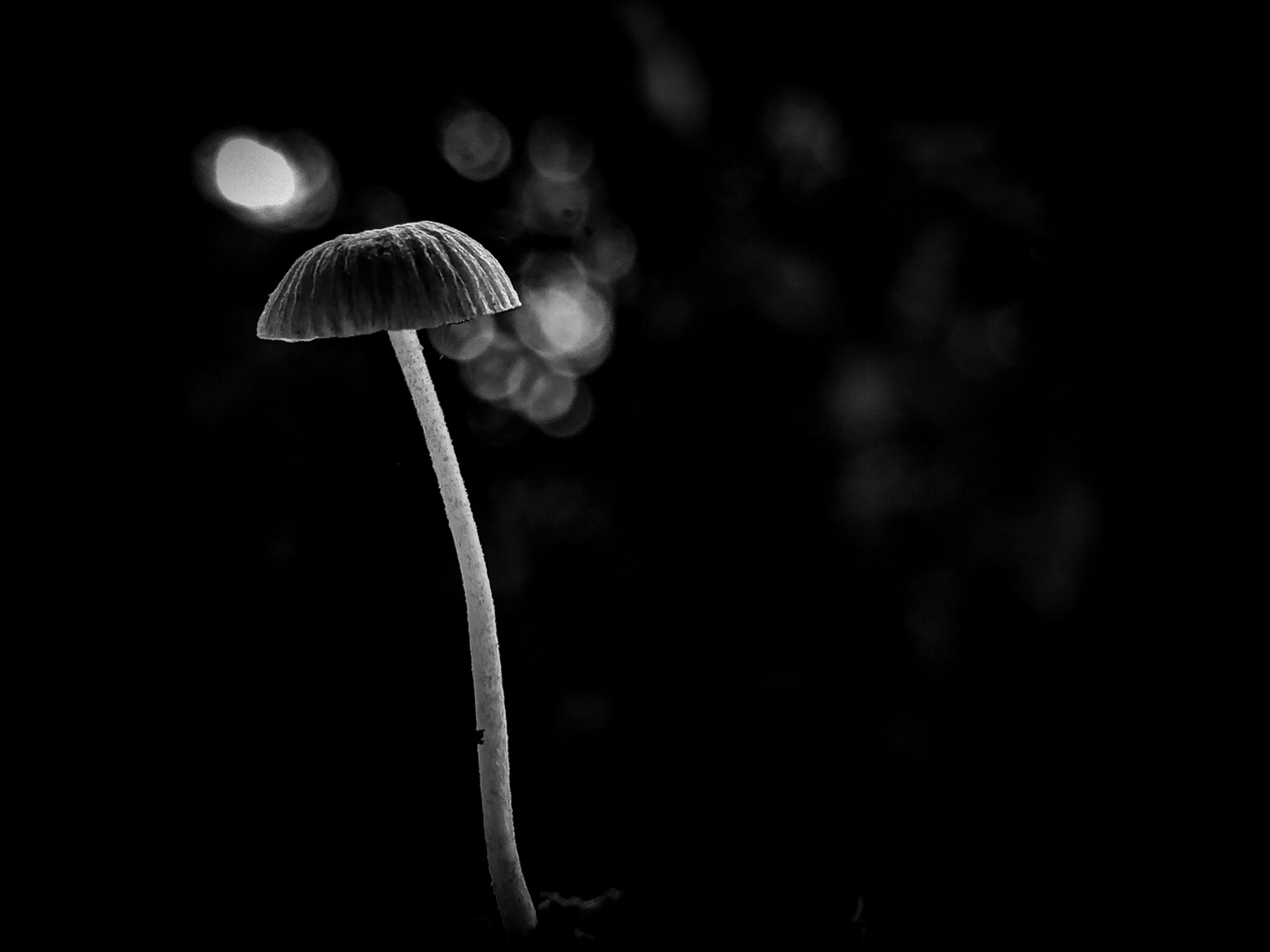 IMG20221014115721_00 (1).jpg
