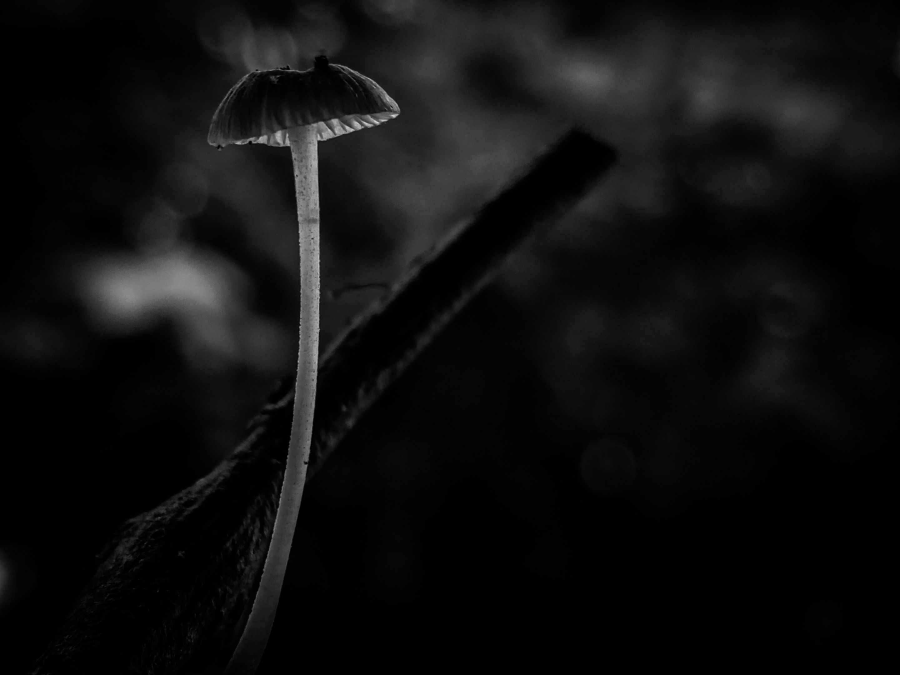 IMG20221014115635_00 (1).jpg