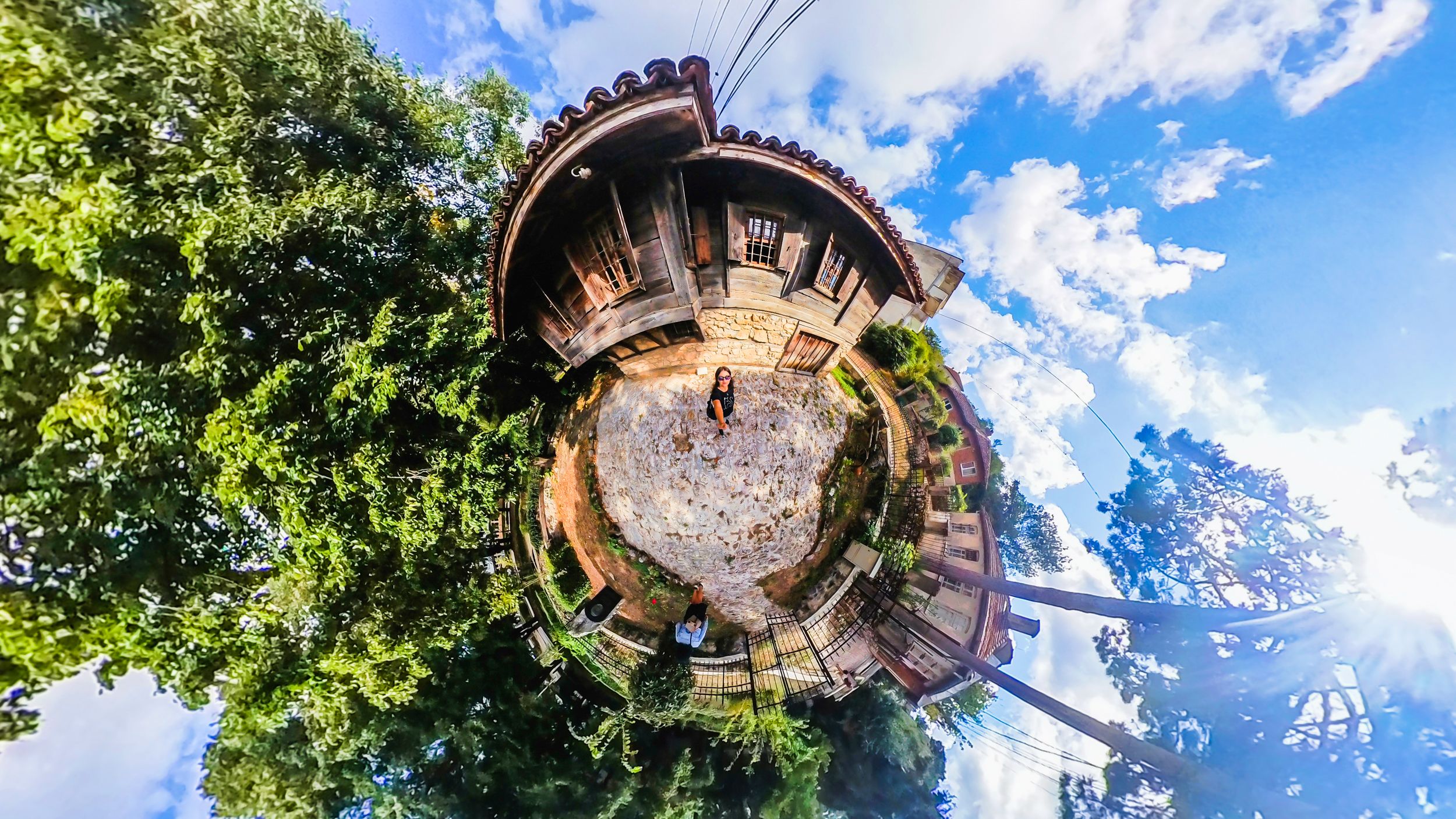 mt (107 of 120).jpg