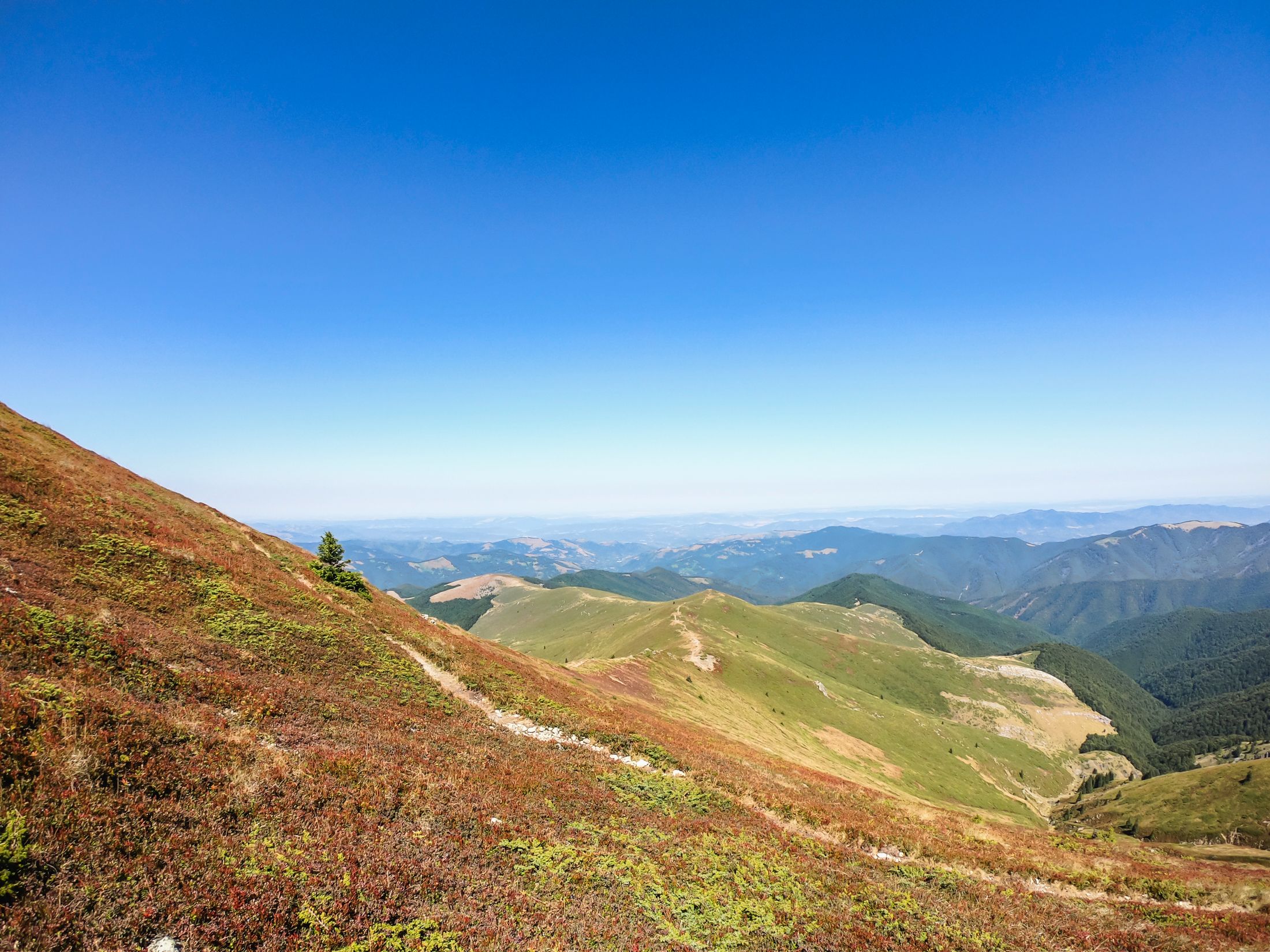 sinanitsa (74 of 184).jpg