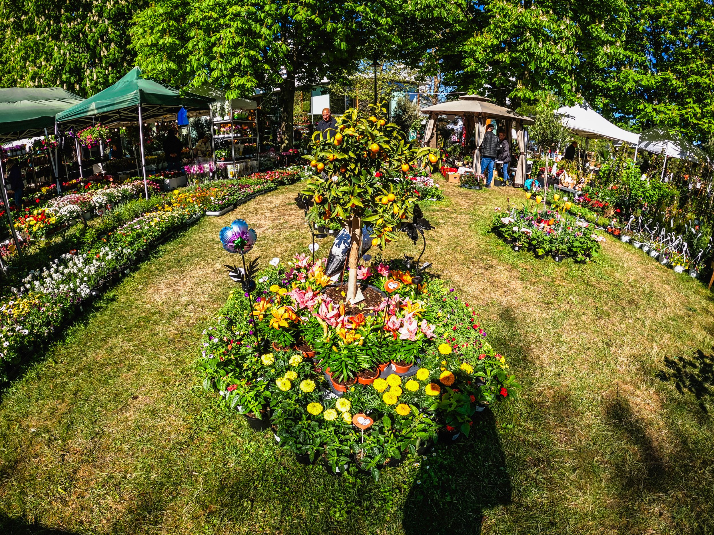 flora2025-71.jpg