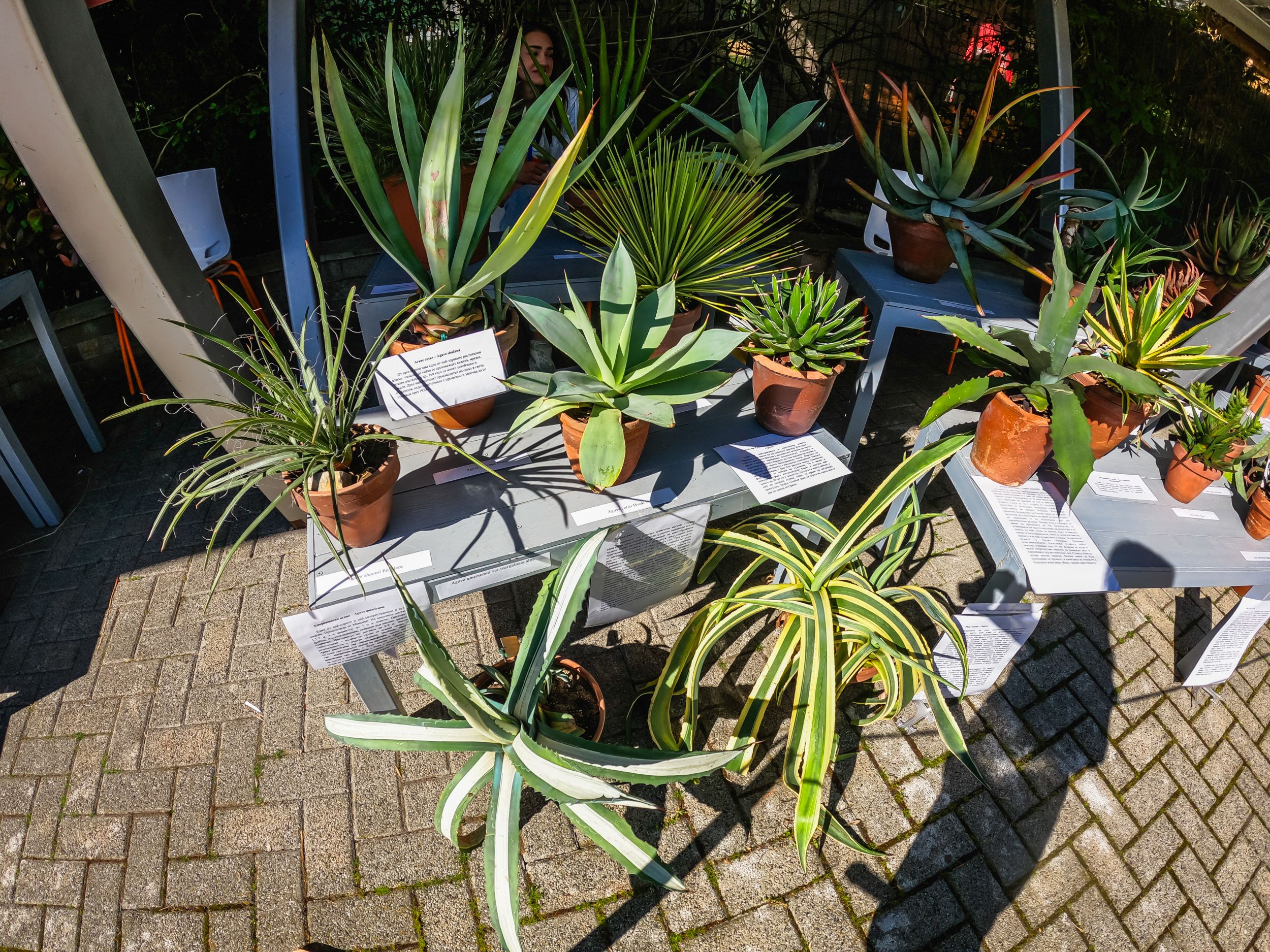 flora2025-57.jpg