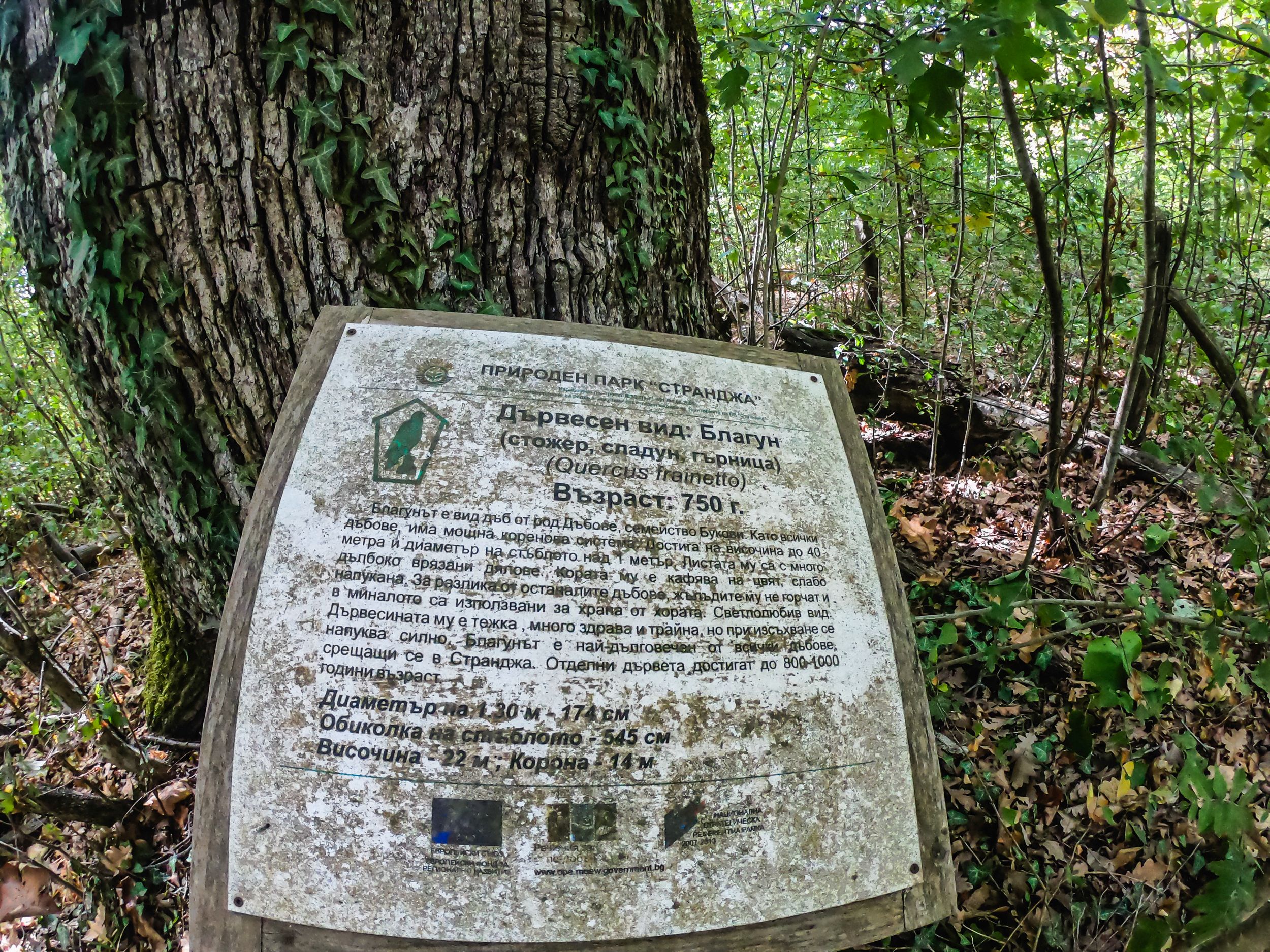 rd (11 of 97).jpg