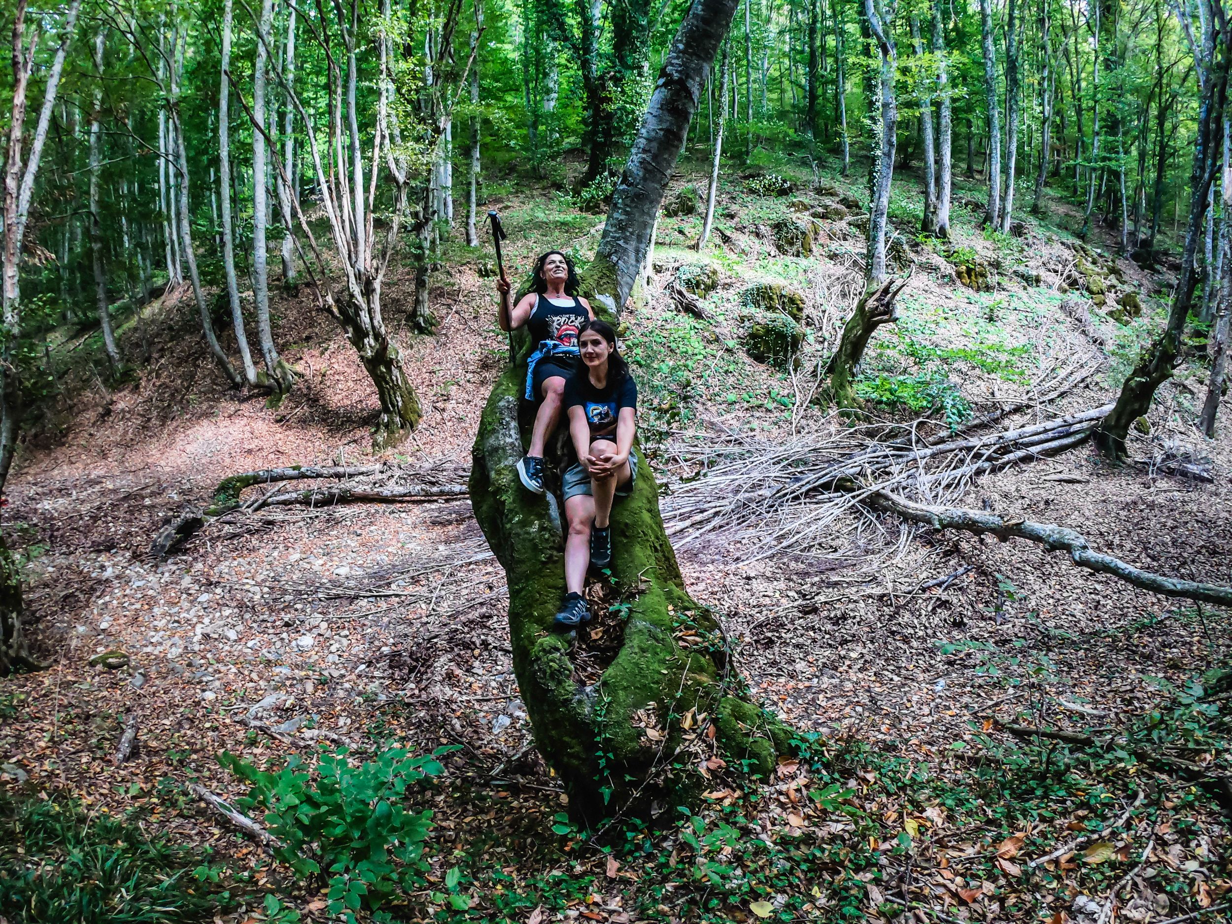 gorska walk (61 of 71).jpg