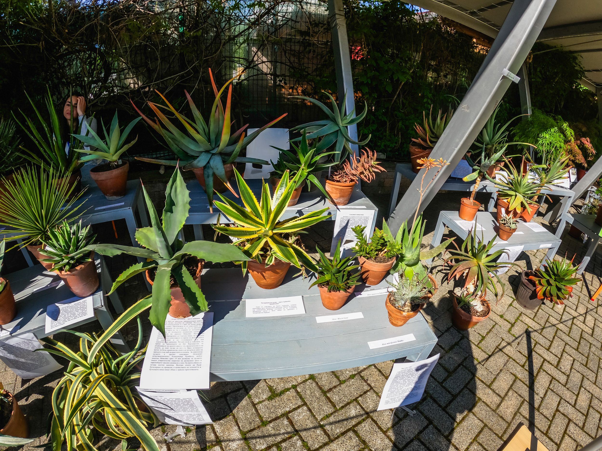 flora2025-56.jpg