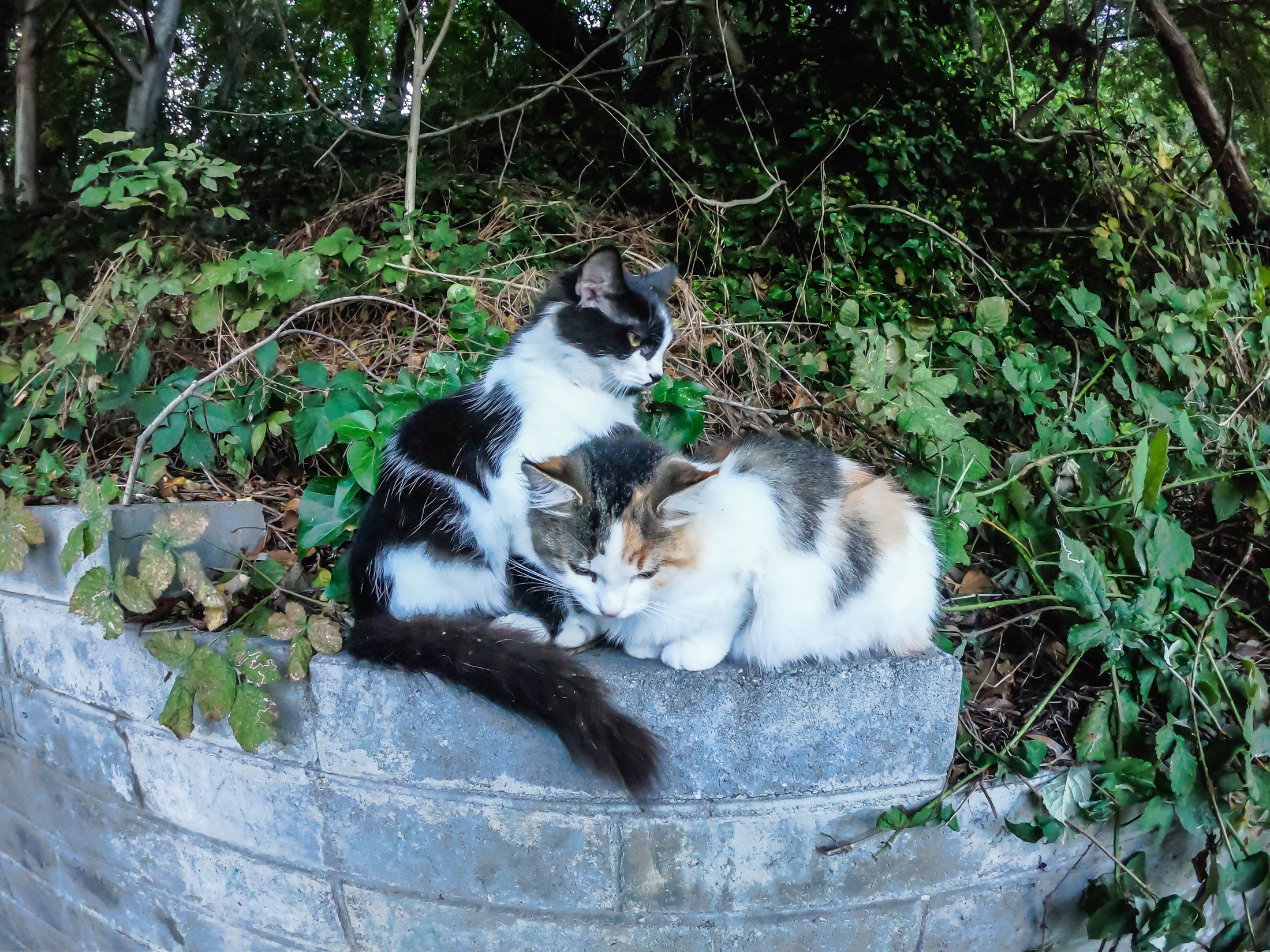 varna (14 of 125).jpg