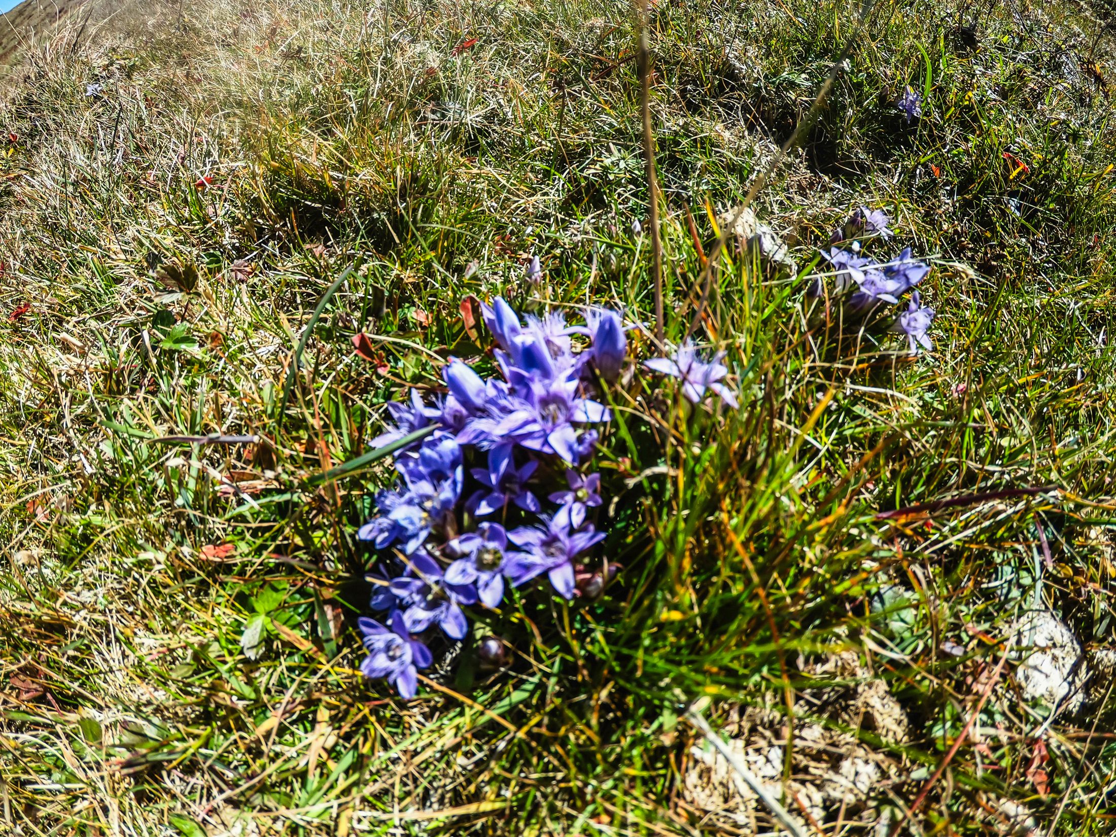 sinanitsa (75 of 184).jpg