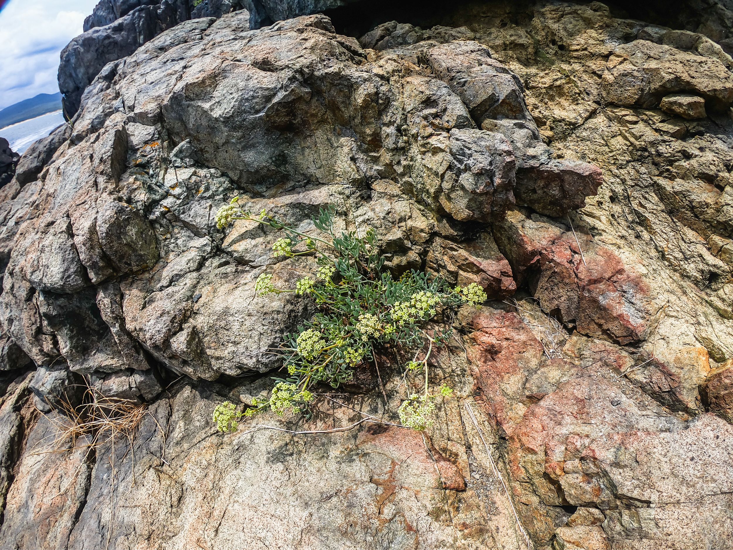 agaalina (93 of 160).jpg