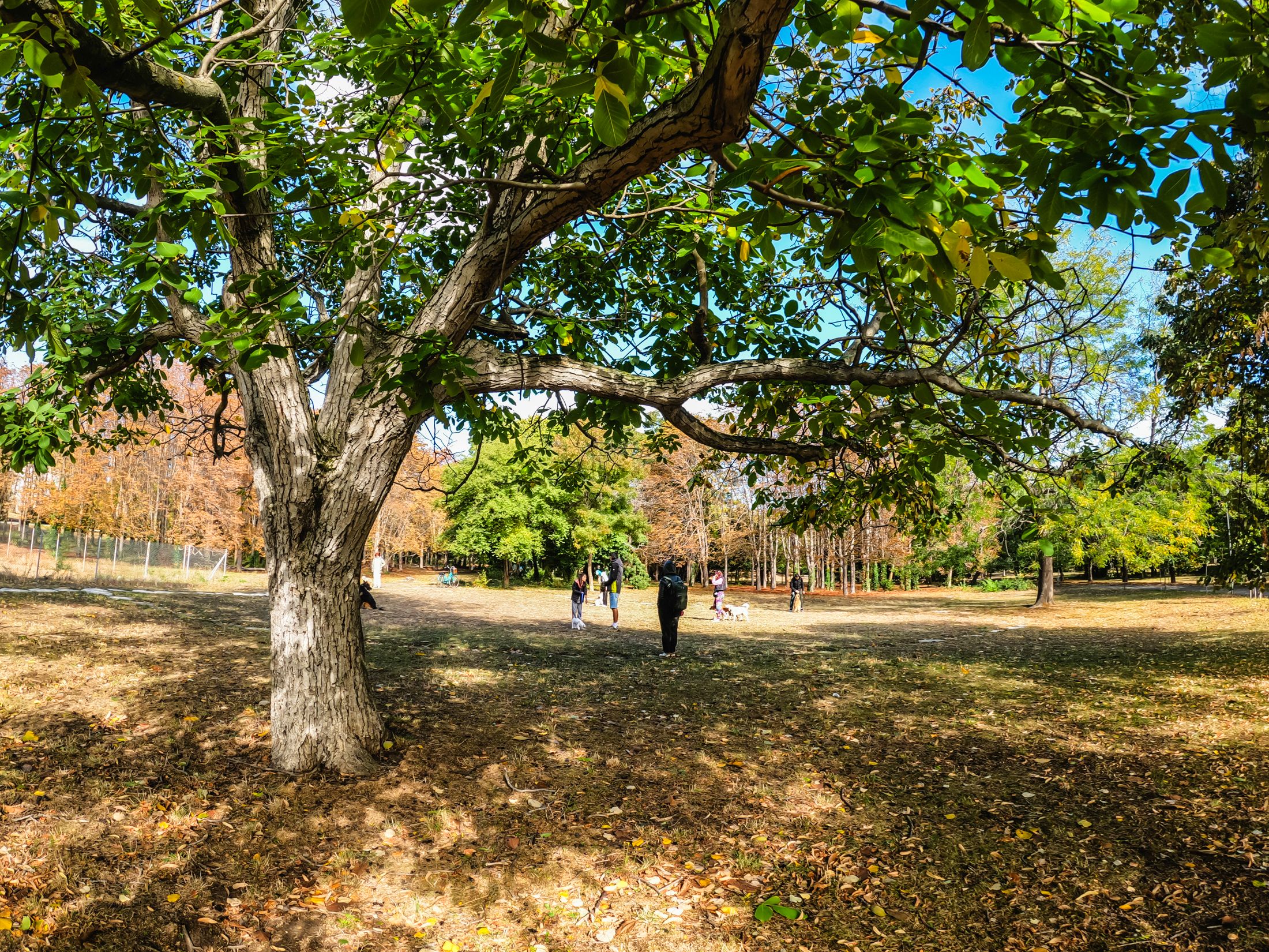 varna (57 of 125).jpg