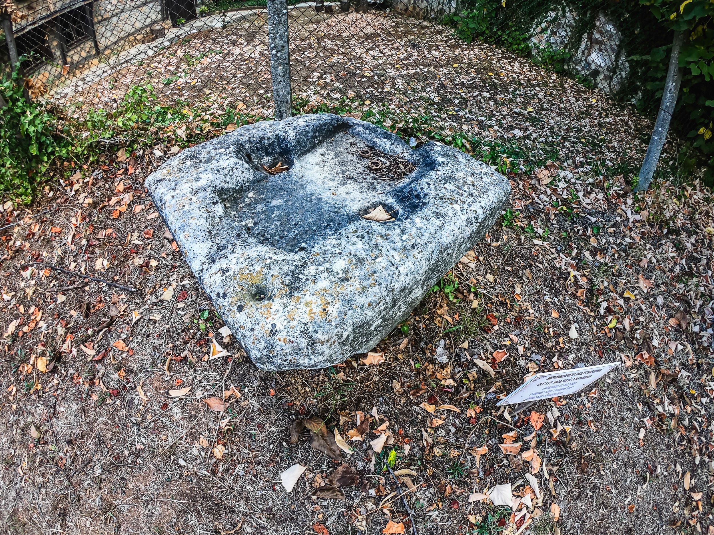 mt (96 of 120).jpg