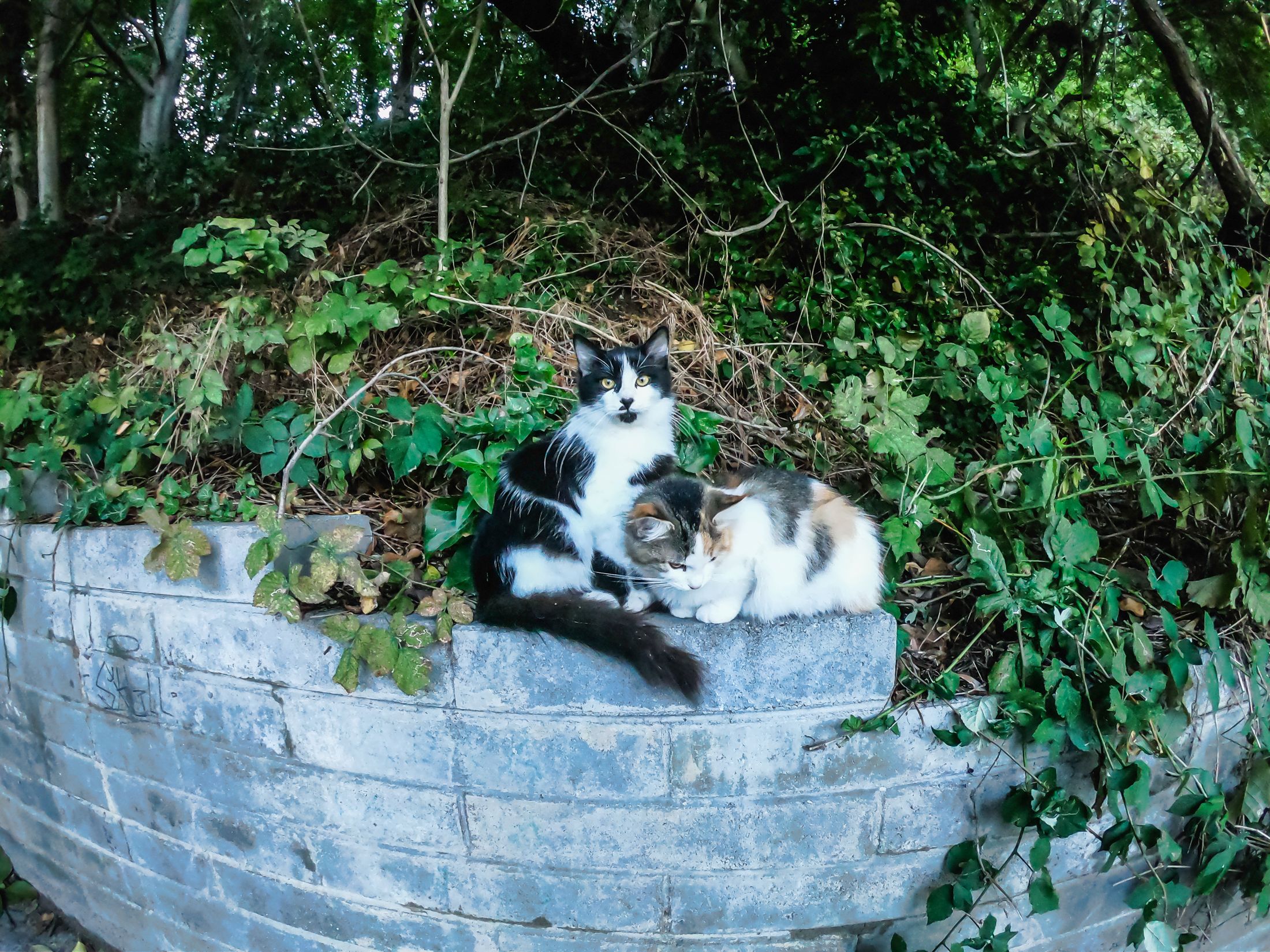 varna (12 of 125).jpg