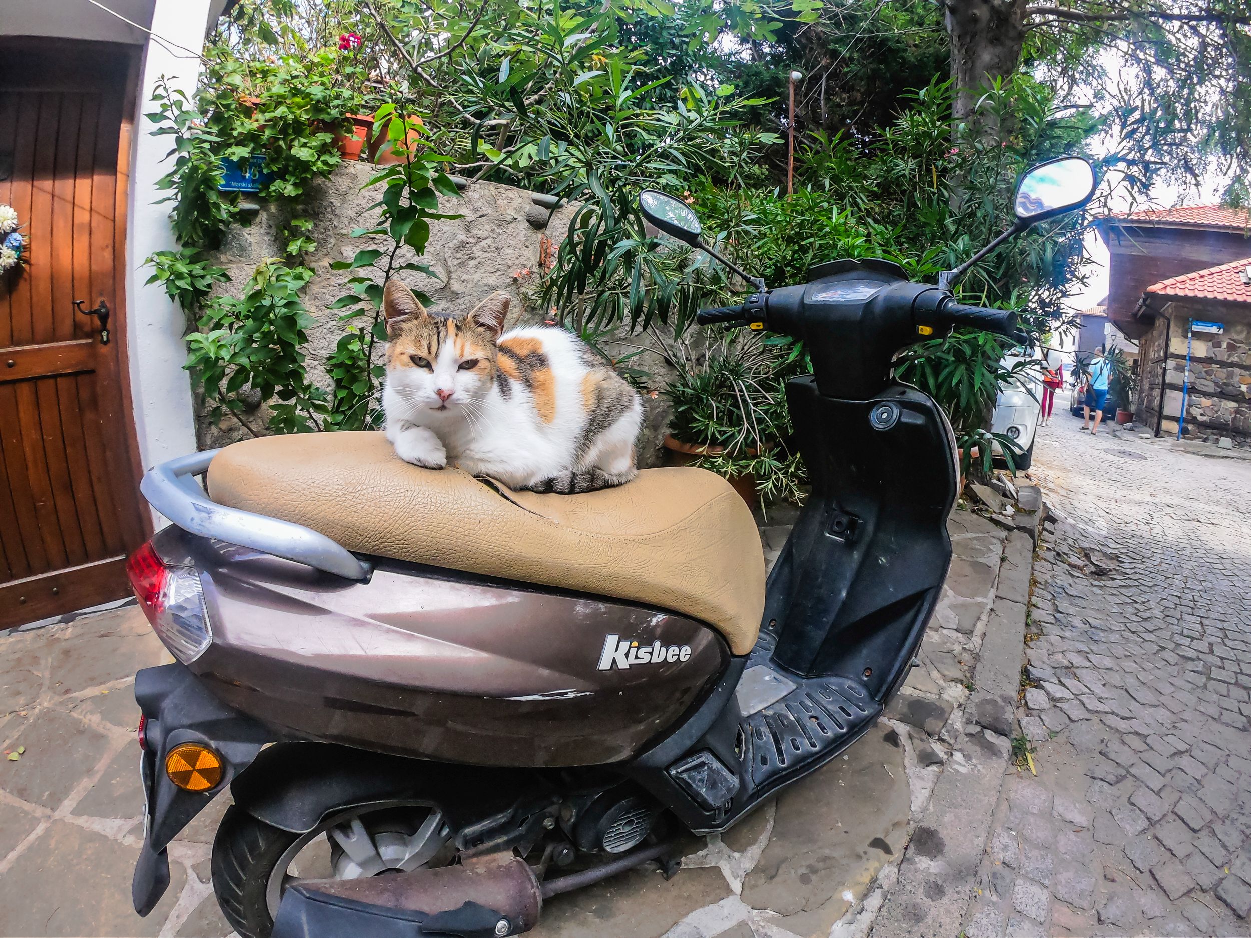 sozopol (204 of 305).jpg