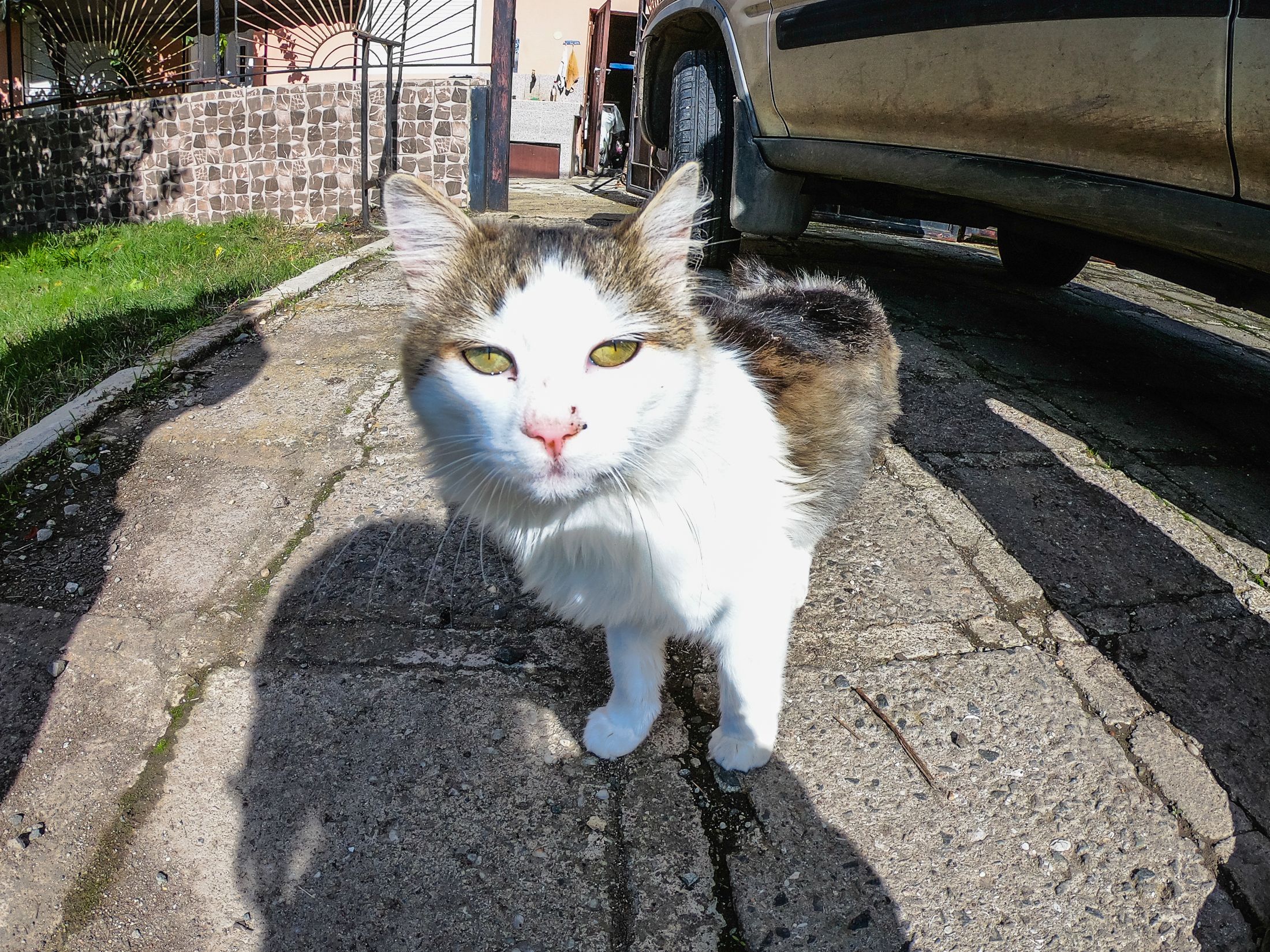 garden (32 of 32).jpg