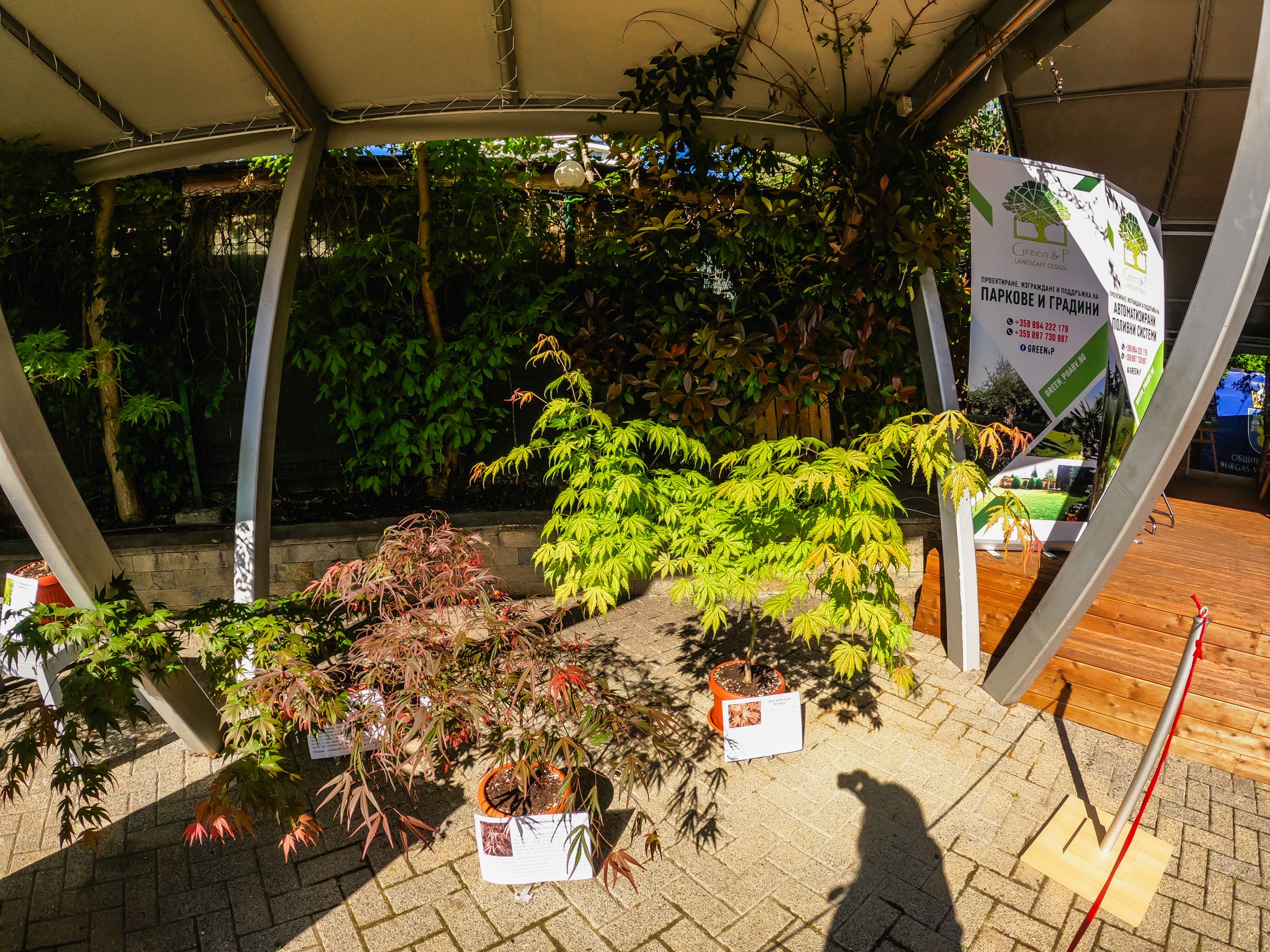 flora2025-53.jpg