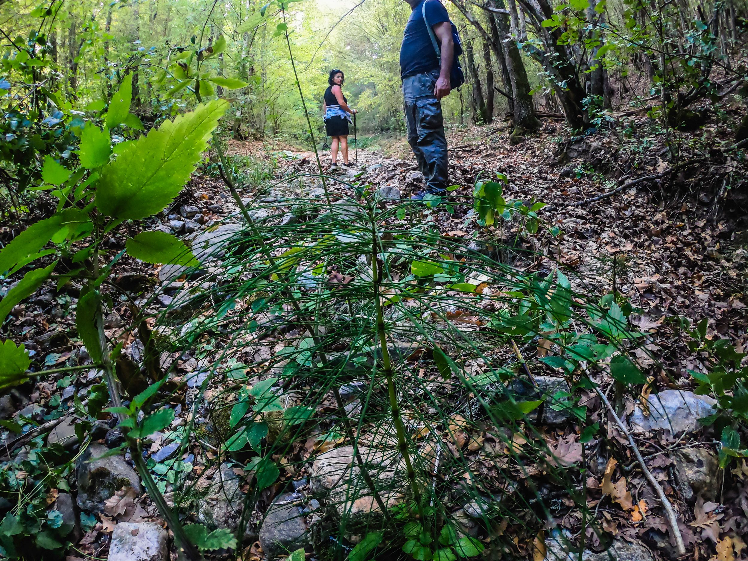 gorska walk (38 of 71).jpg