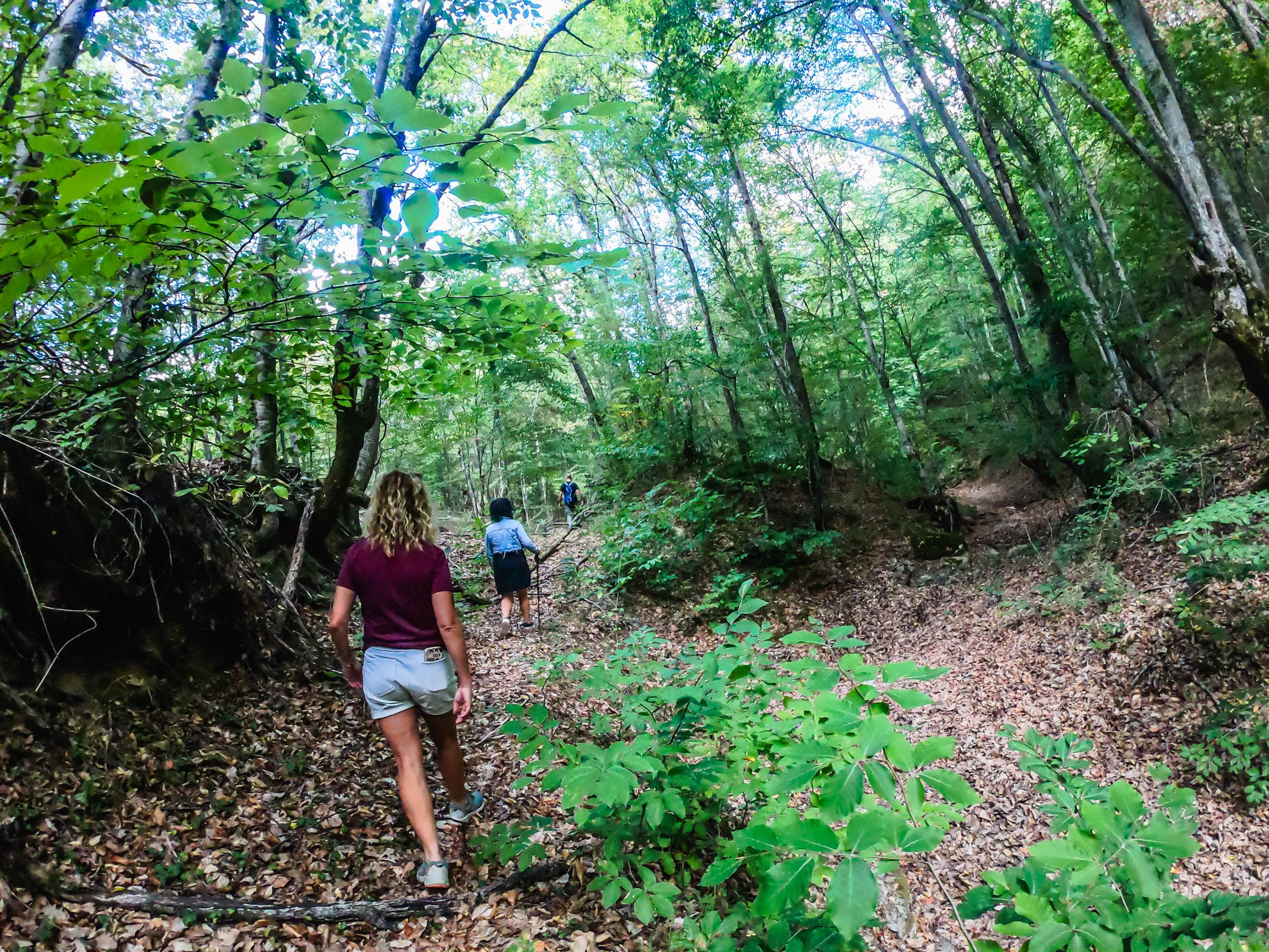 gorska walk (30 of 71).jpg