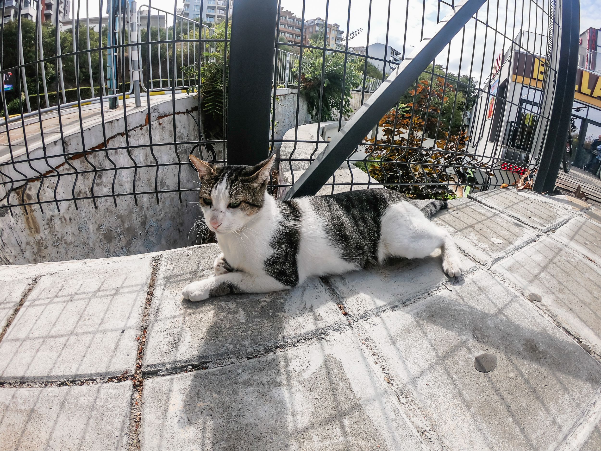 sozopol (140 of 305).jpg