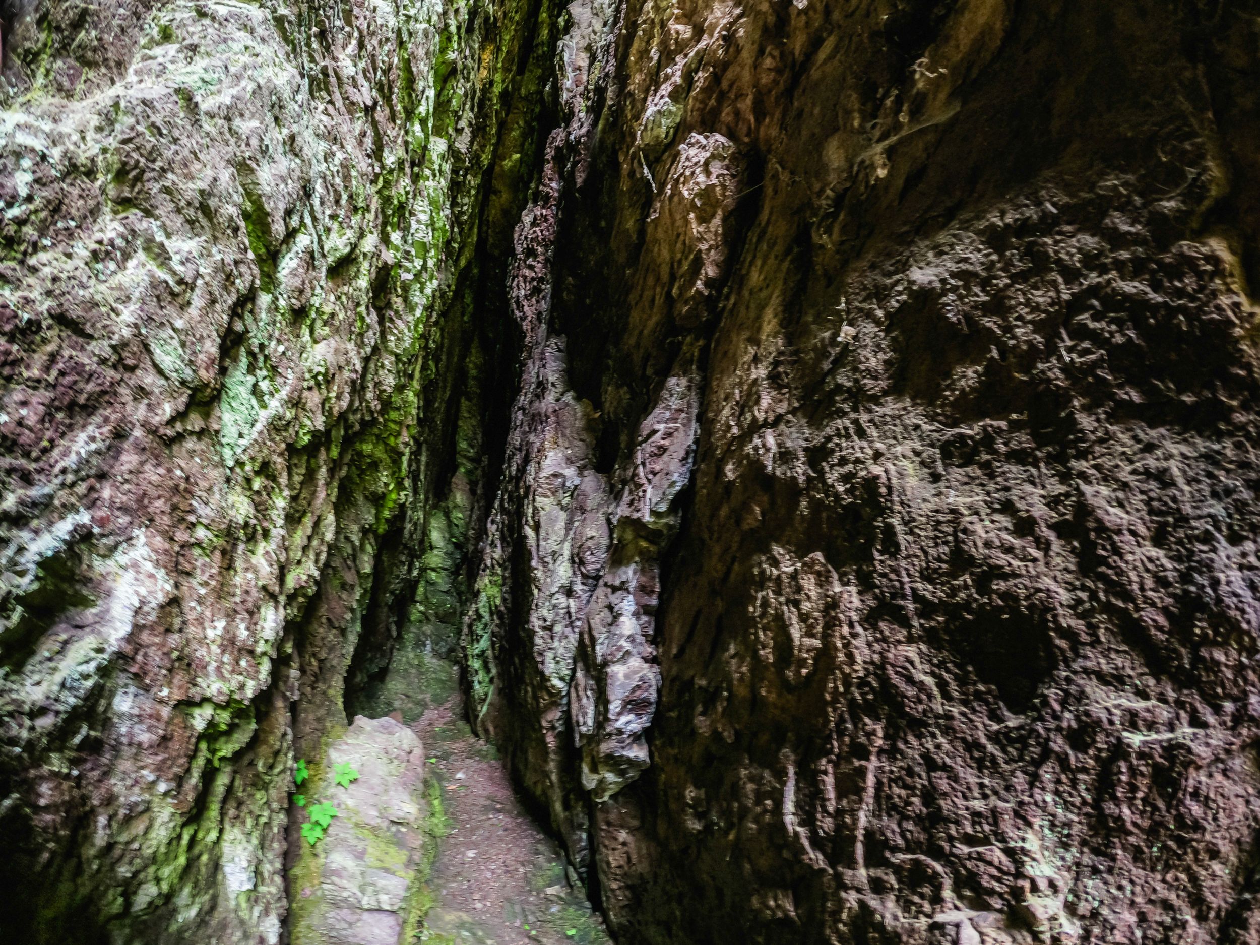 DOLAPITE (121 of 150).jpg