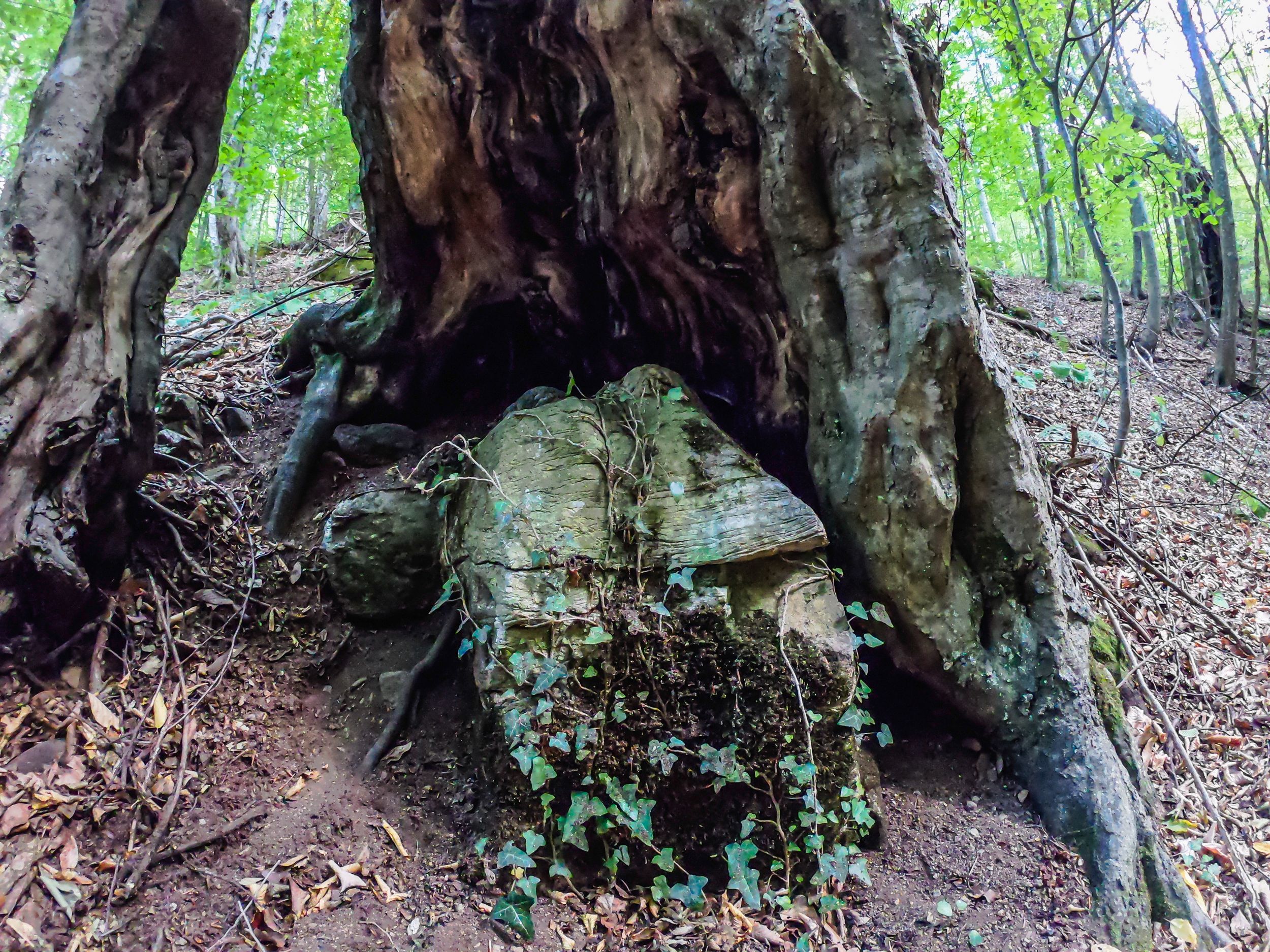 gorska walk (66 of 71).jpg