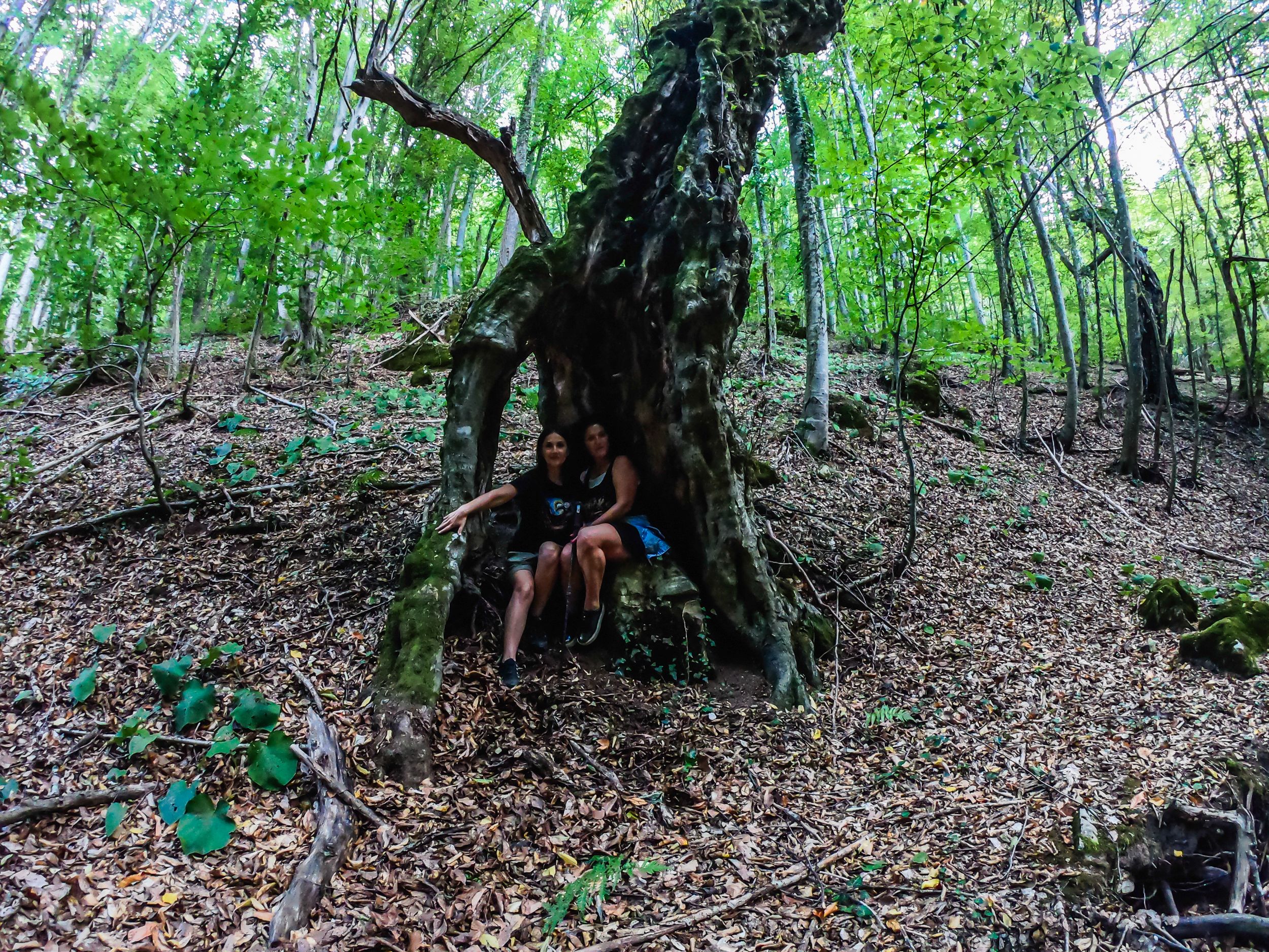 gorska walk (64 of 71).jpg