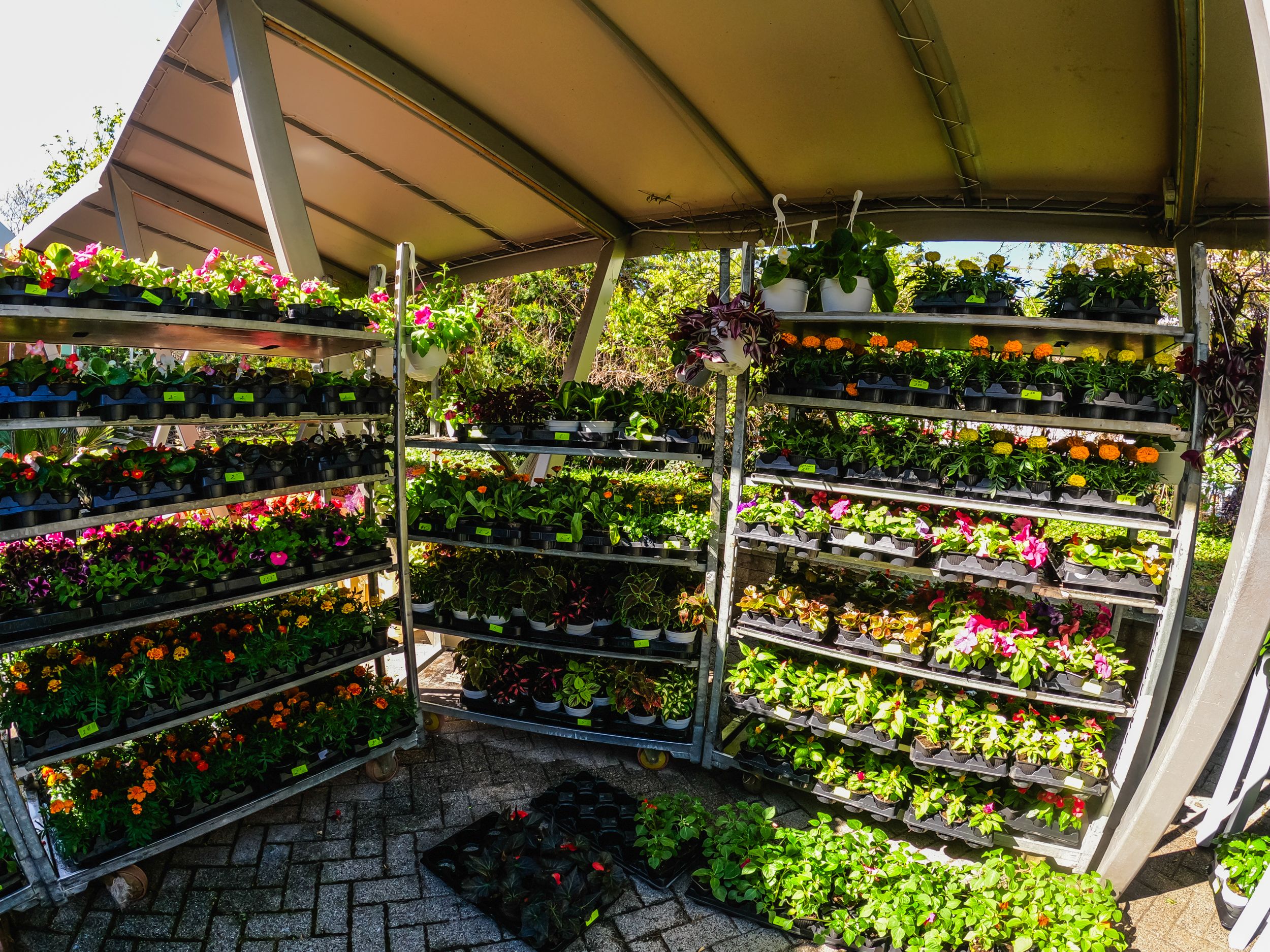 flora2025-61.jpg