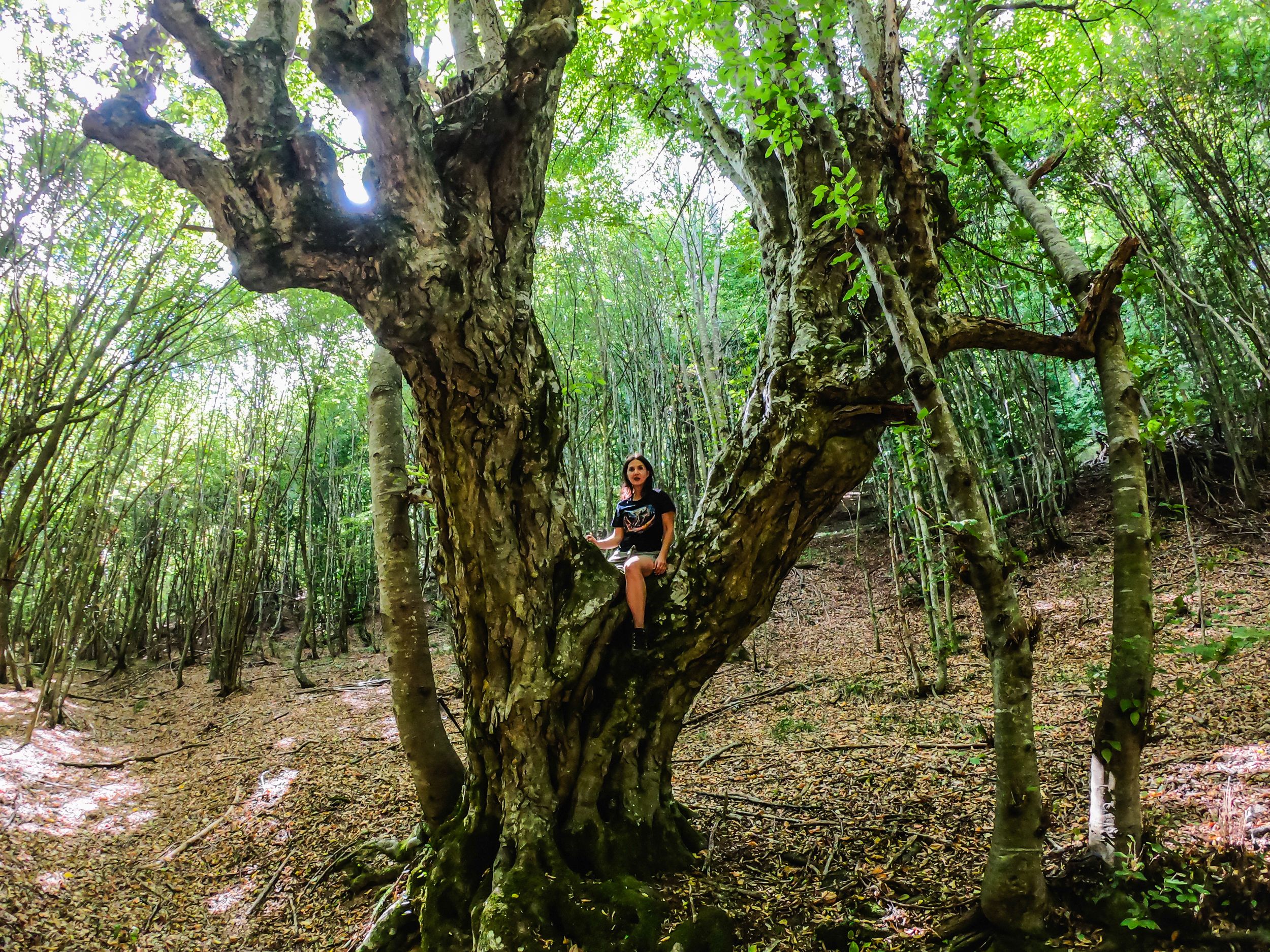 gorska walk (59 of 71).jpg