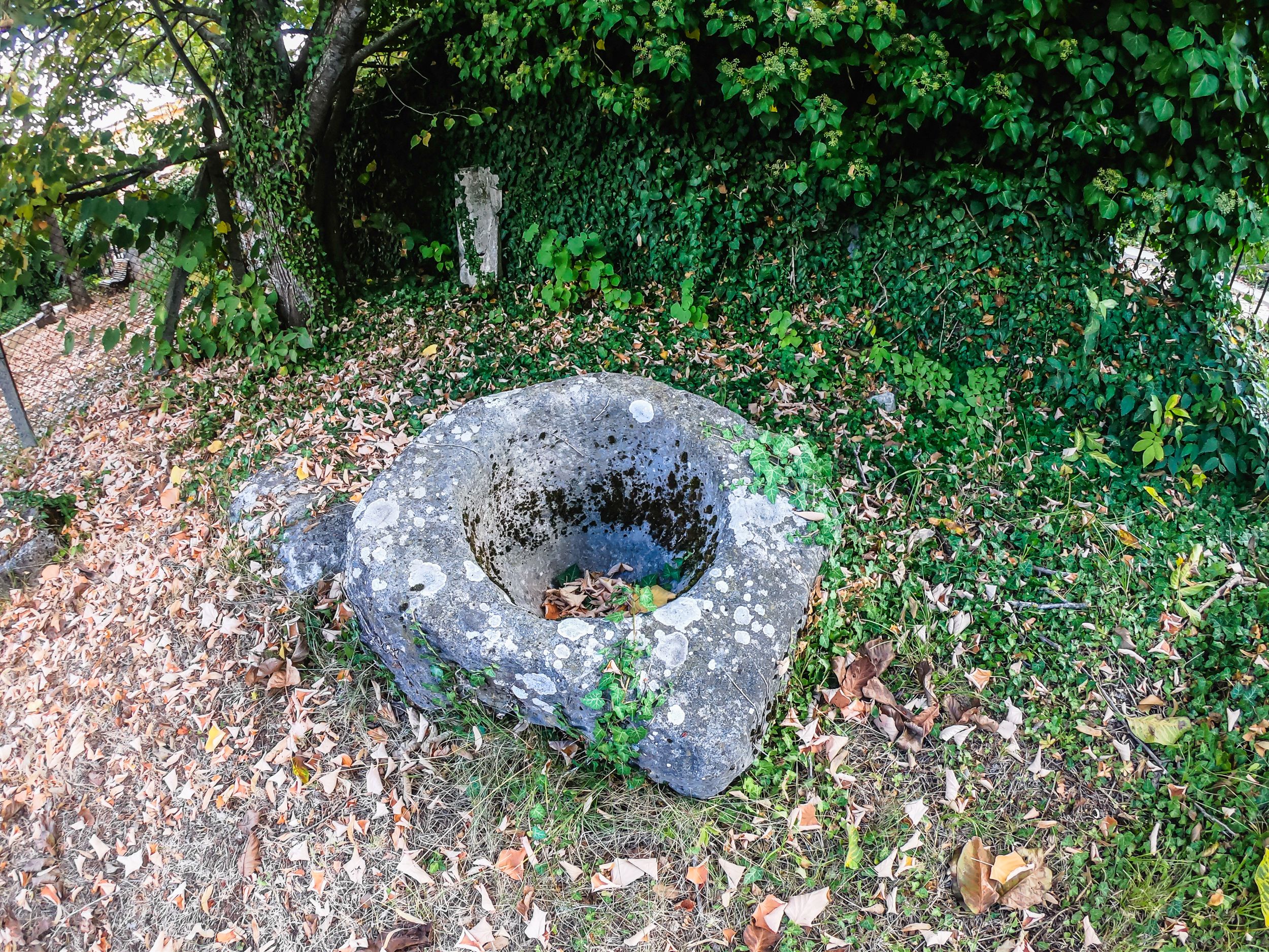 mt (98 of 120).jpg