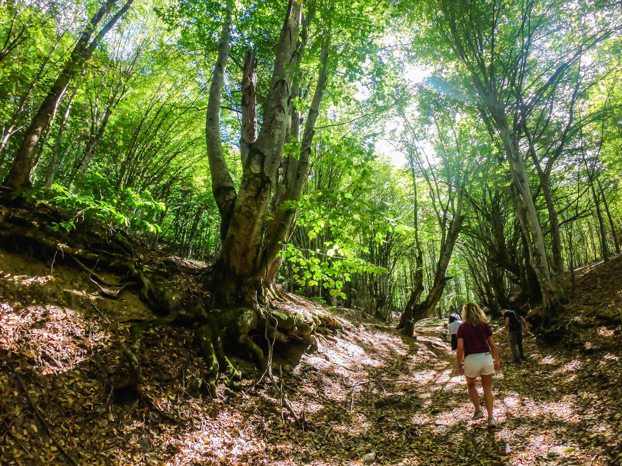 gorska walk (14 of 71).jpg