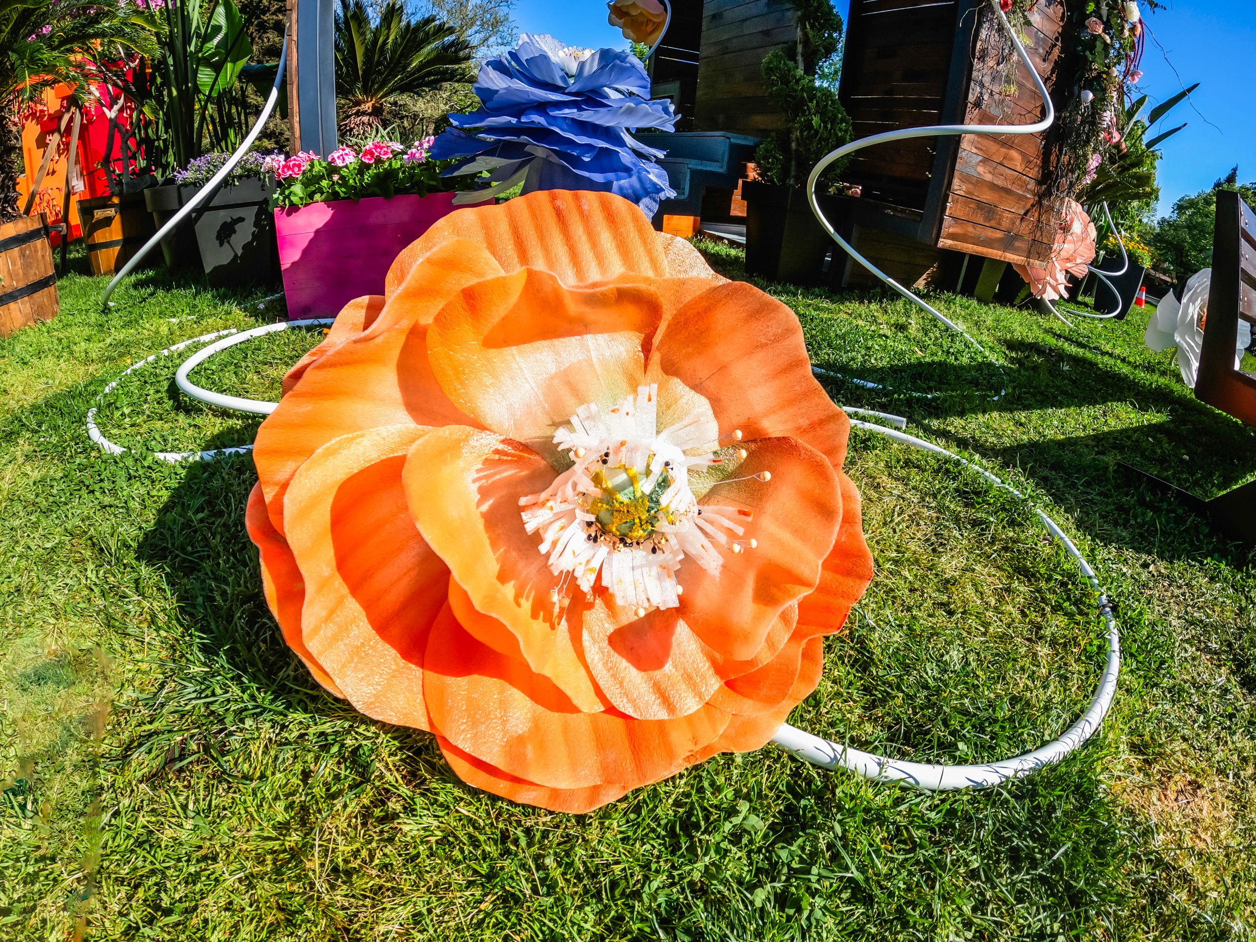 flora2025-7.jpg