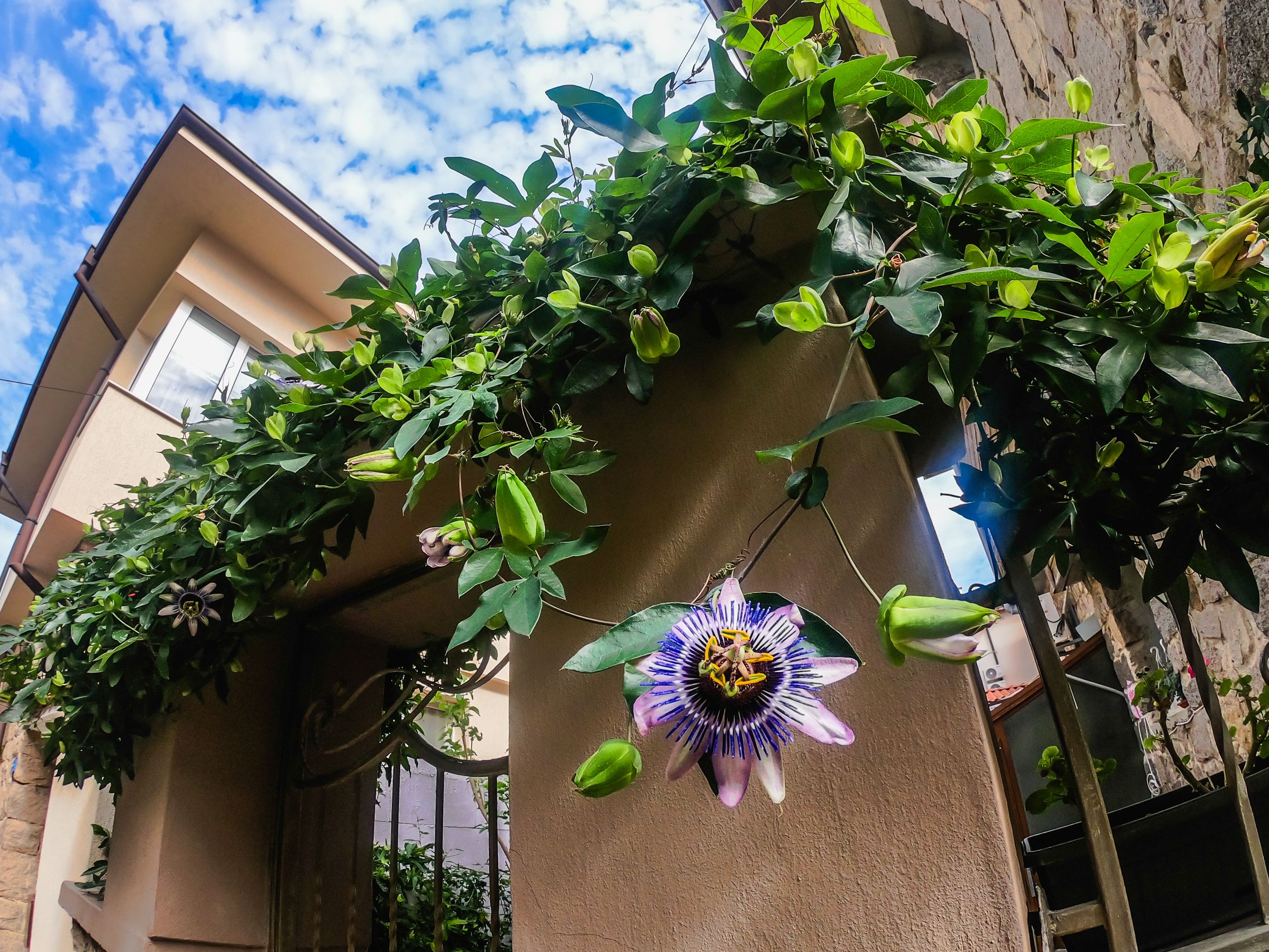 sozopol (190 of 305).jpg