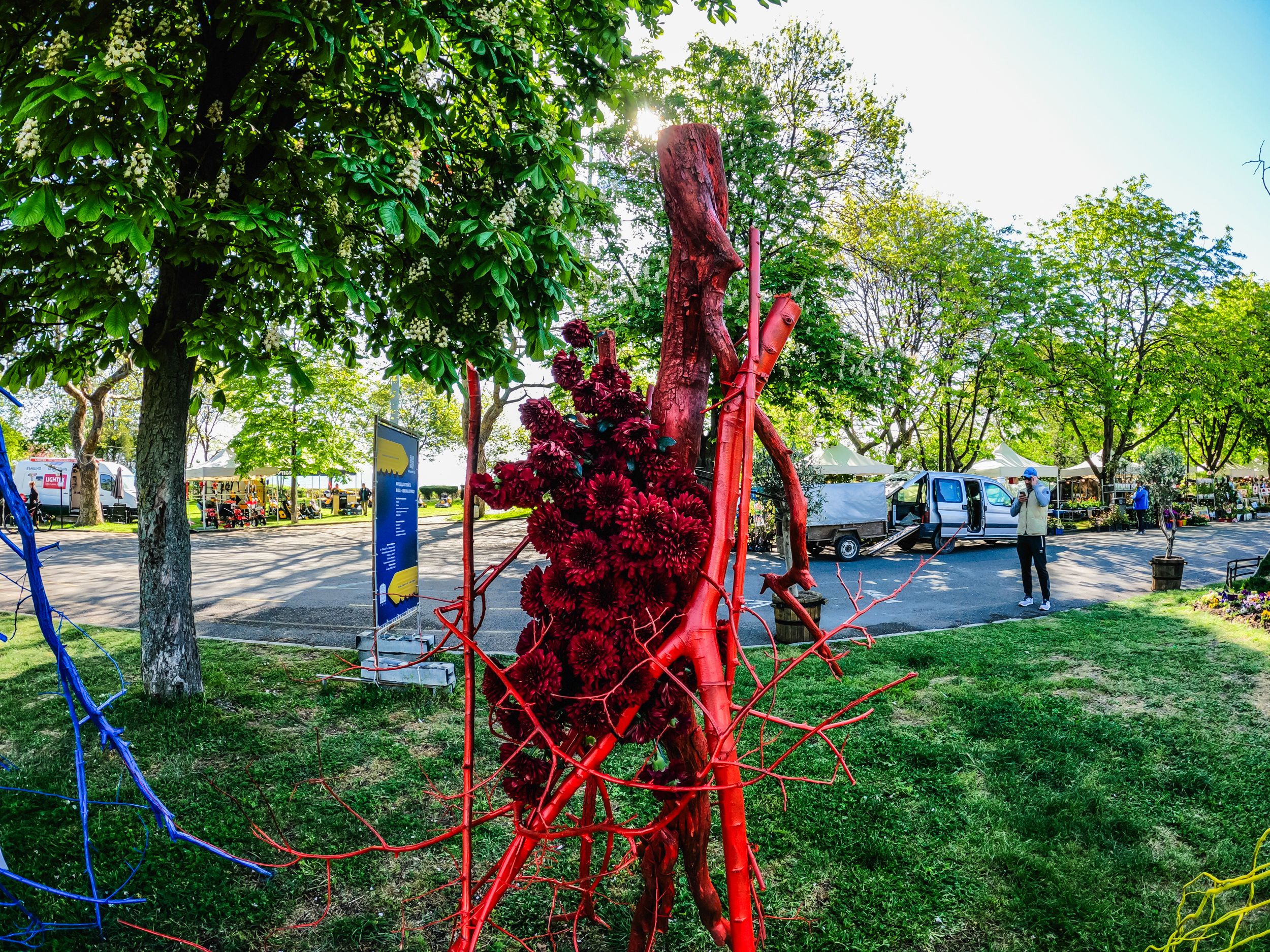 flora2025-26.jpg
