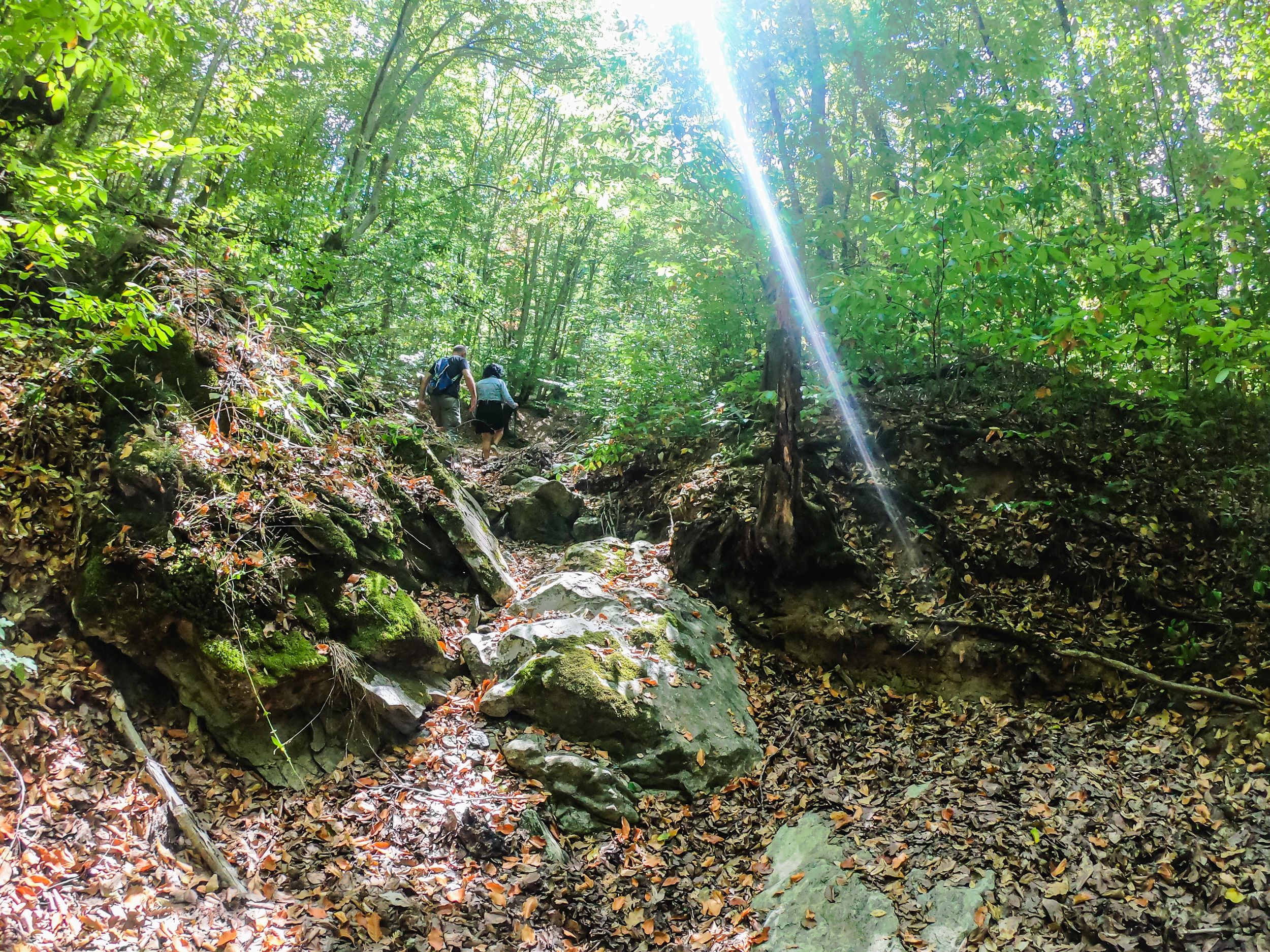 gorska walk (22 of 71).jpg