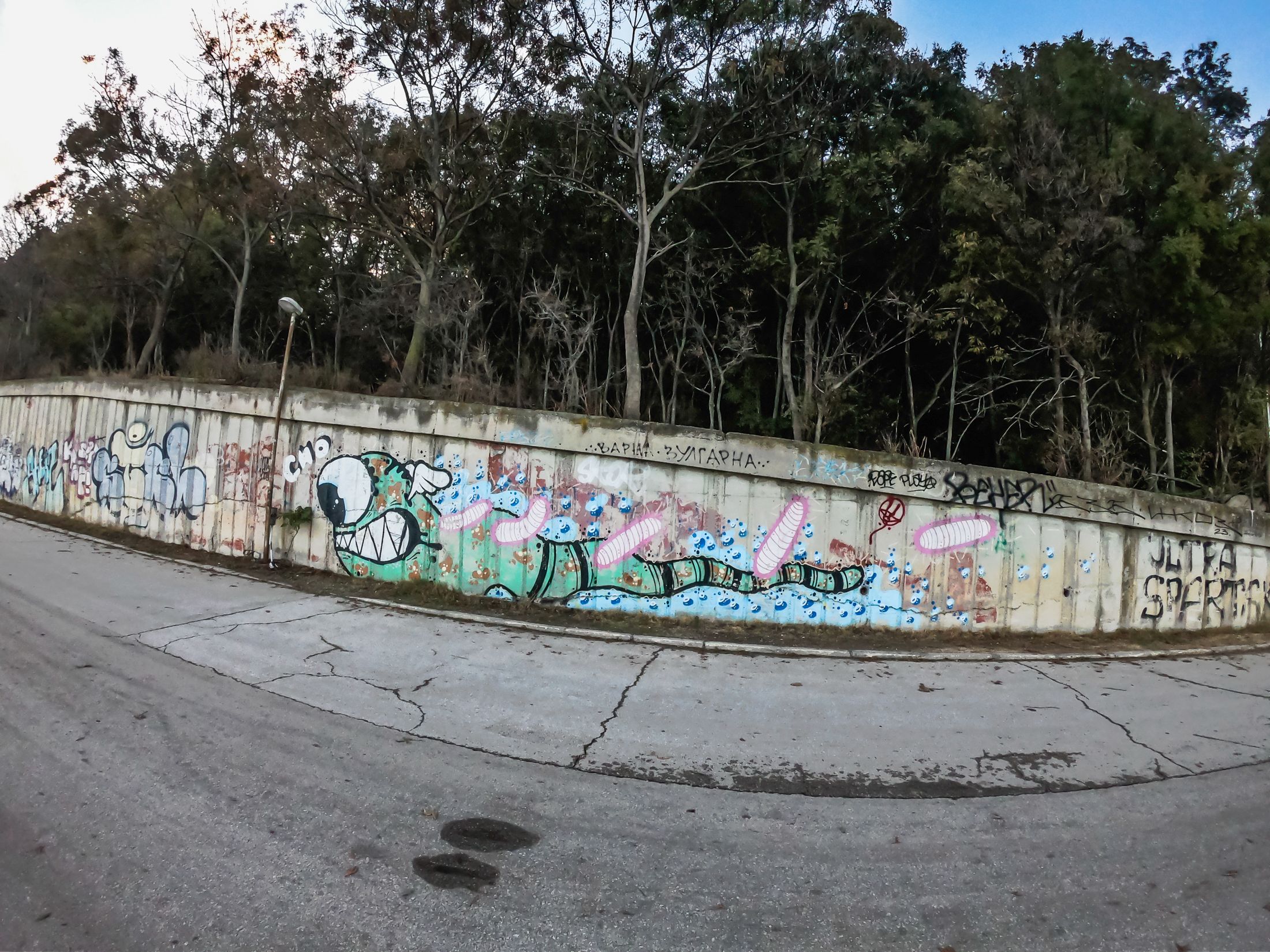 varna (27 of 125).jpg