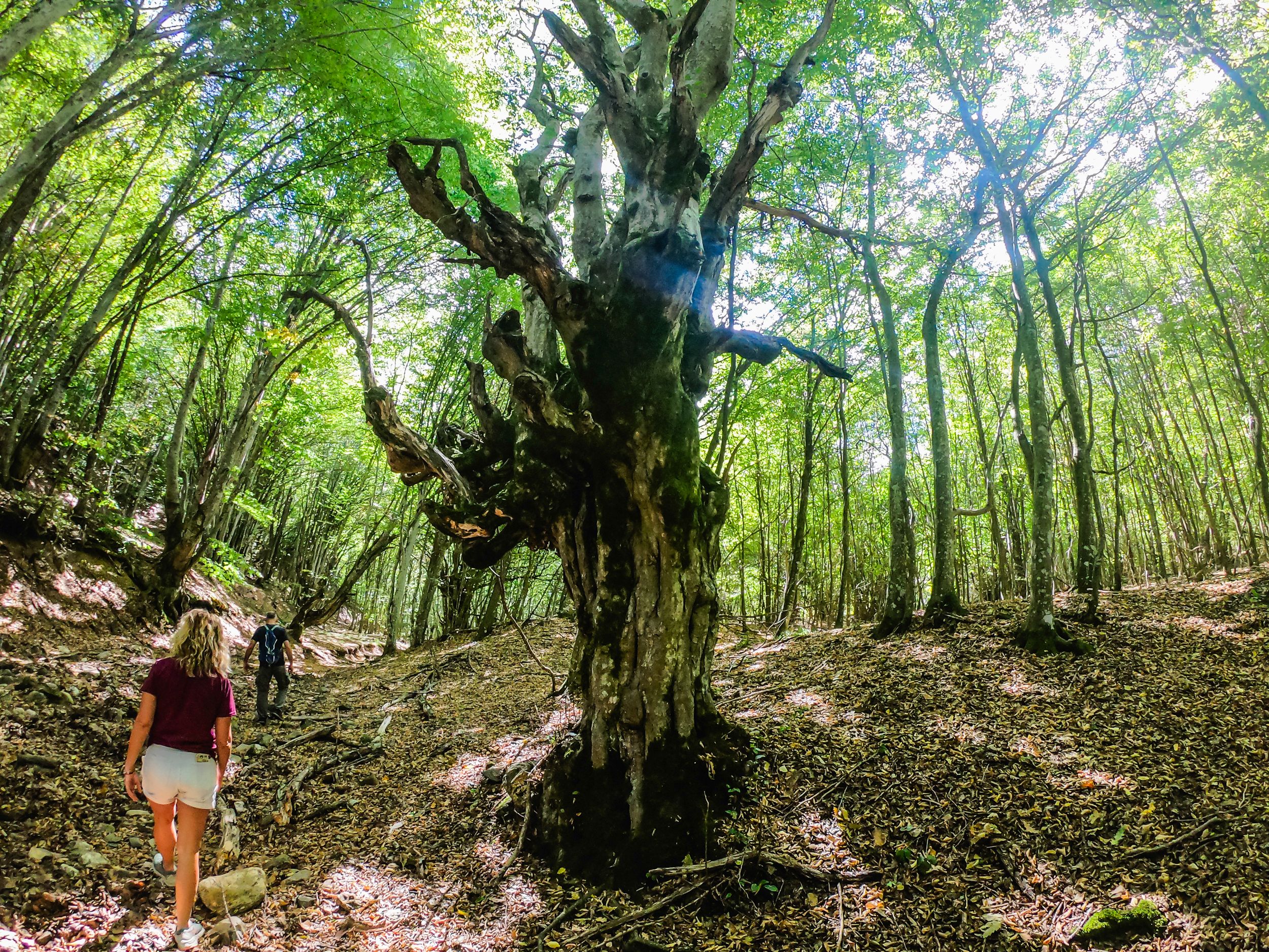 gorska walk (13 of 71).jpg