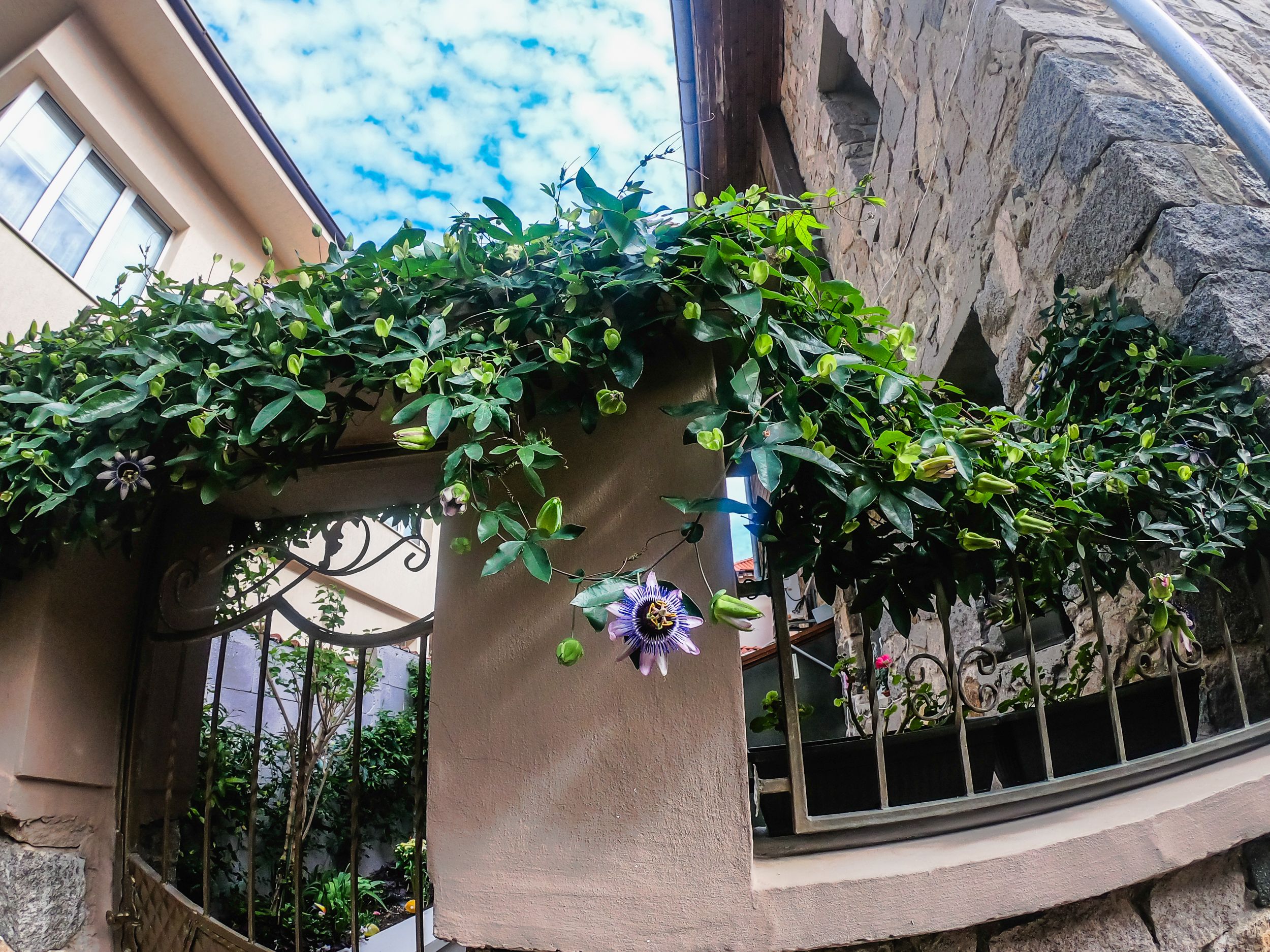 sozopol (191 of 305).jpg